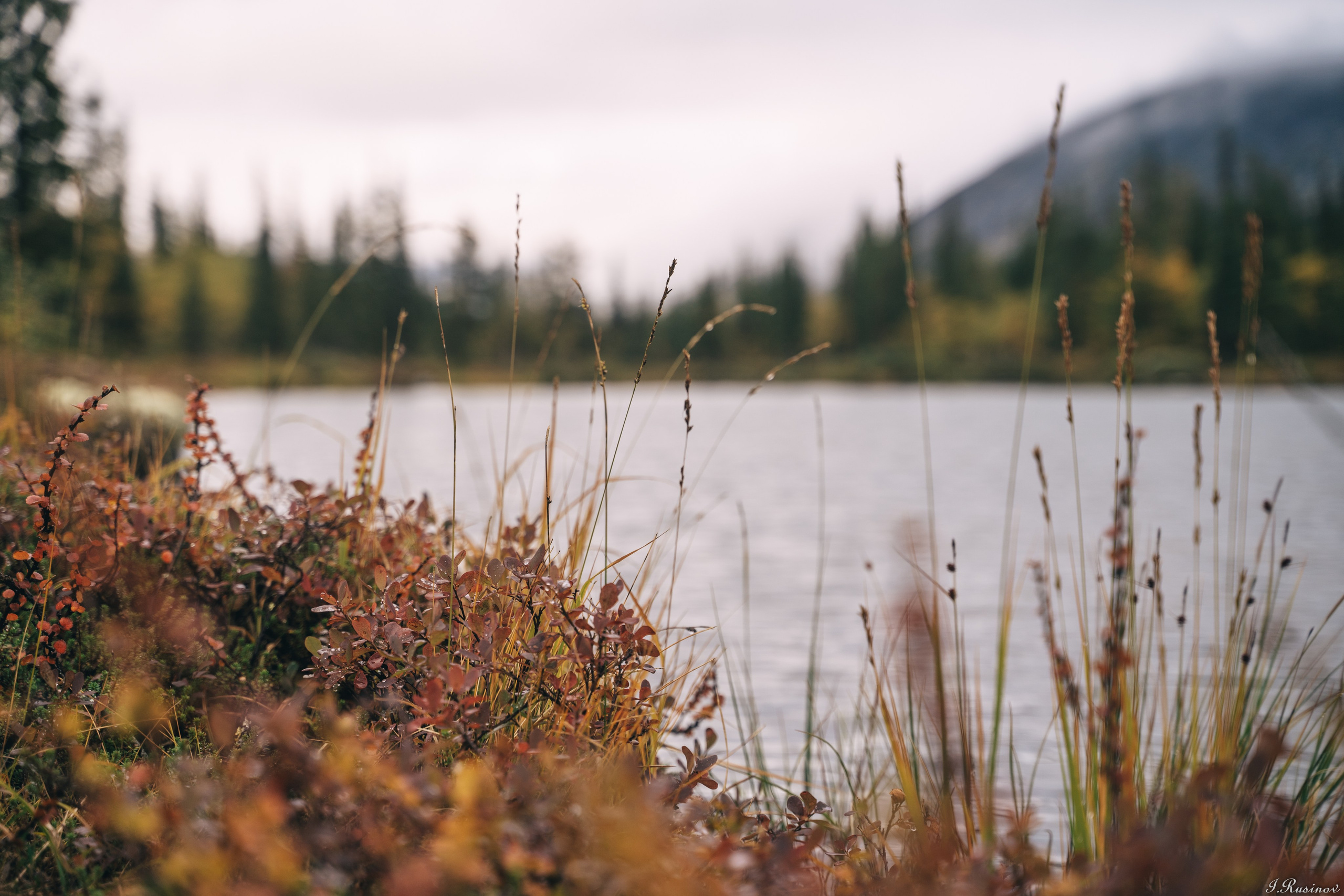 ХИБИНЫ 2021 г. Event фотограф Степанова Александра
