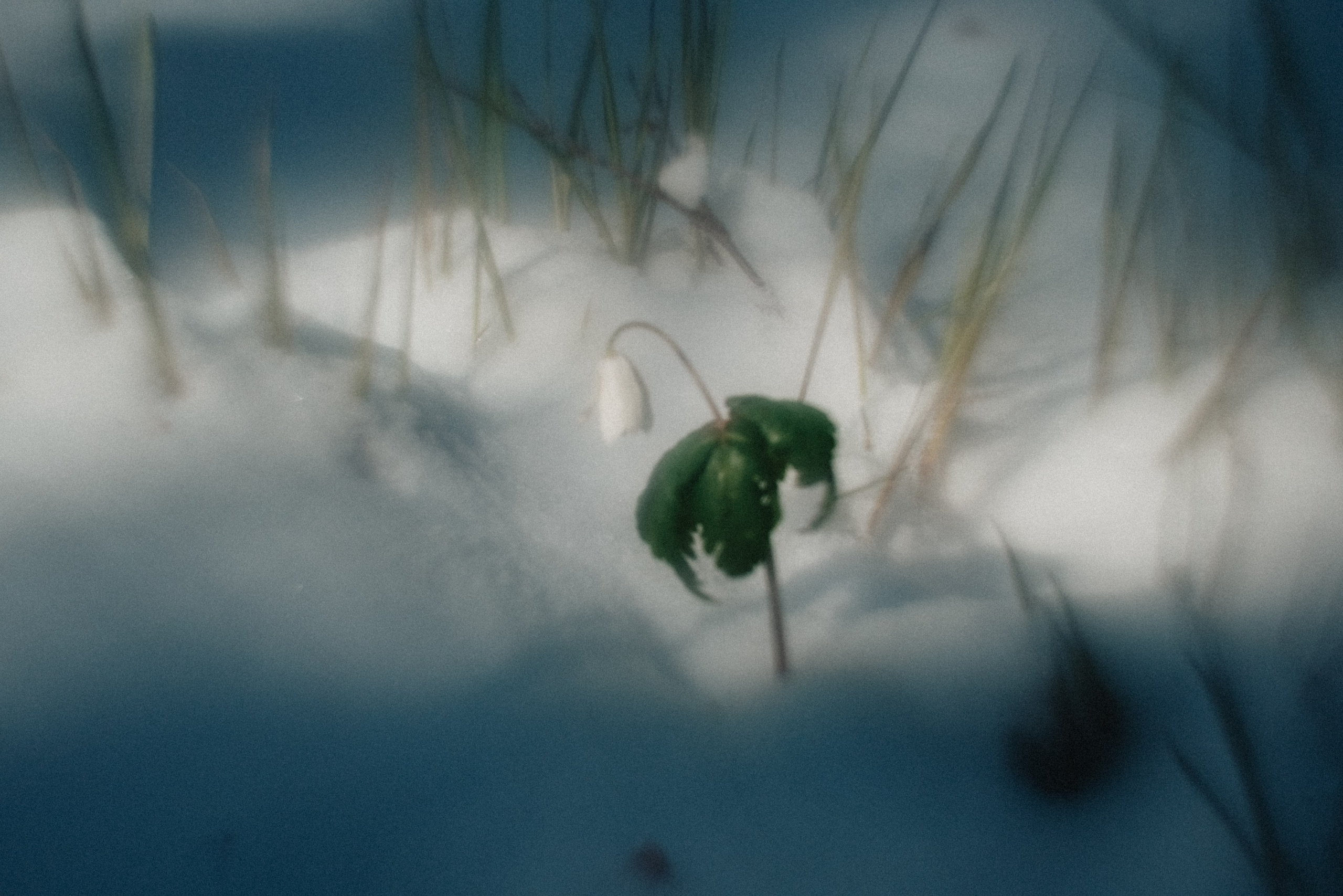 Южный Урал. Окрестности Ялангаса | Май 2024. Andrew Sozonov visual artist