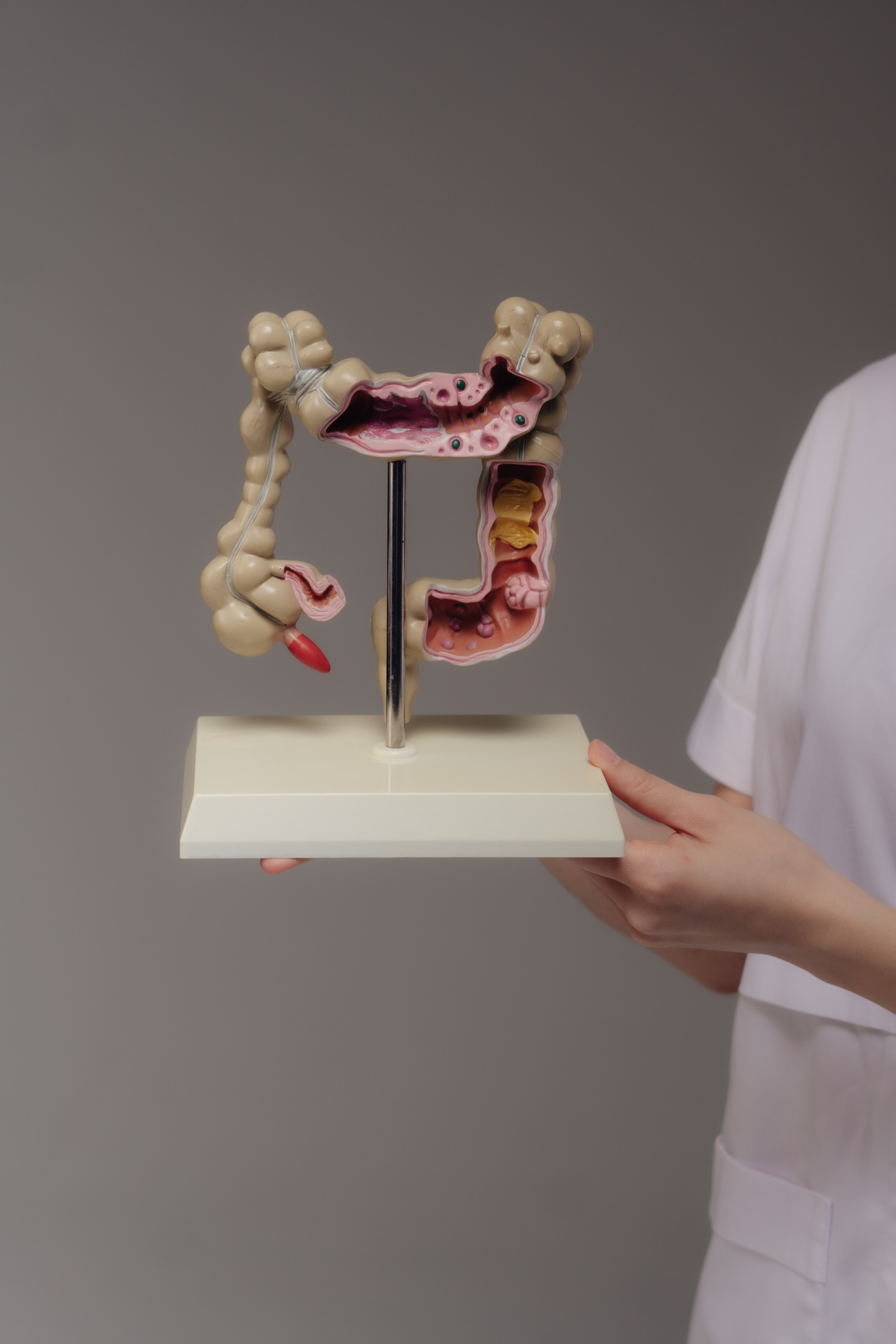 Курманбаева Жанара Жанзаковна. Уличный и студийный фотограф в Астане Ержанов Нурасыл