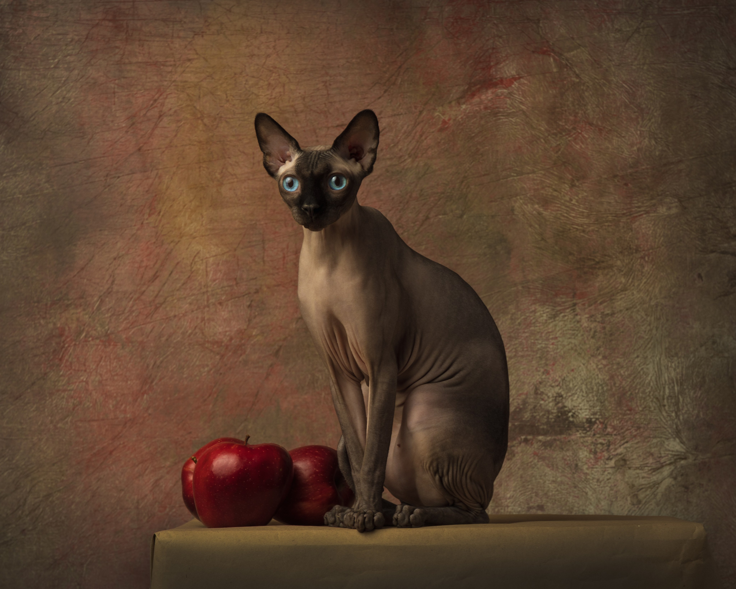 Фотонатюрморты. Савельева Ольга фотохудожник-портретист Москва