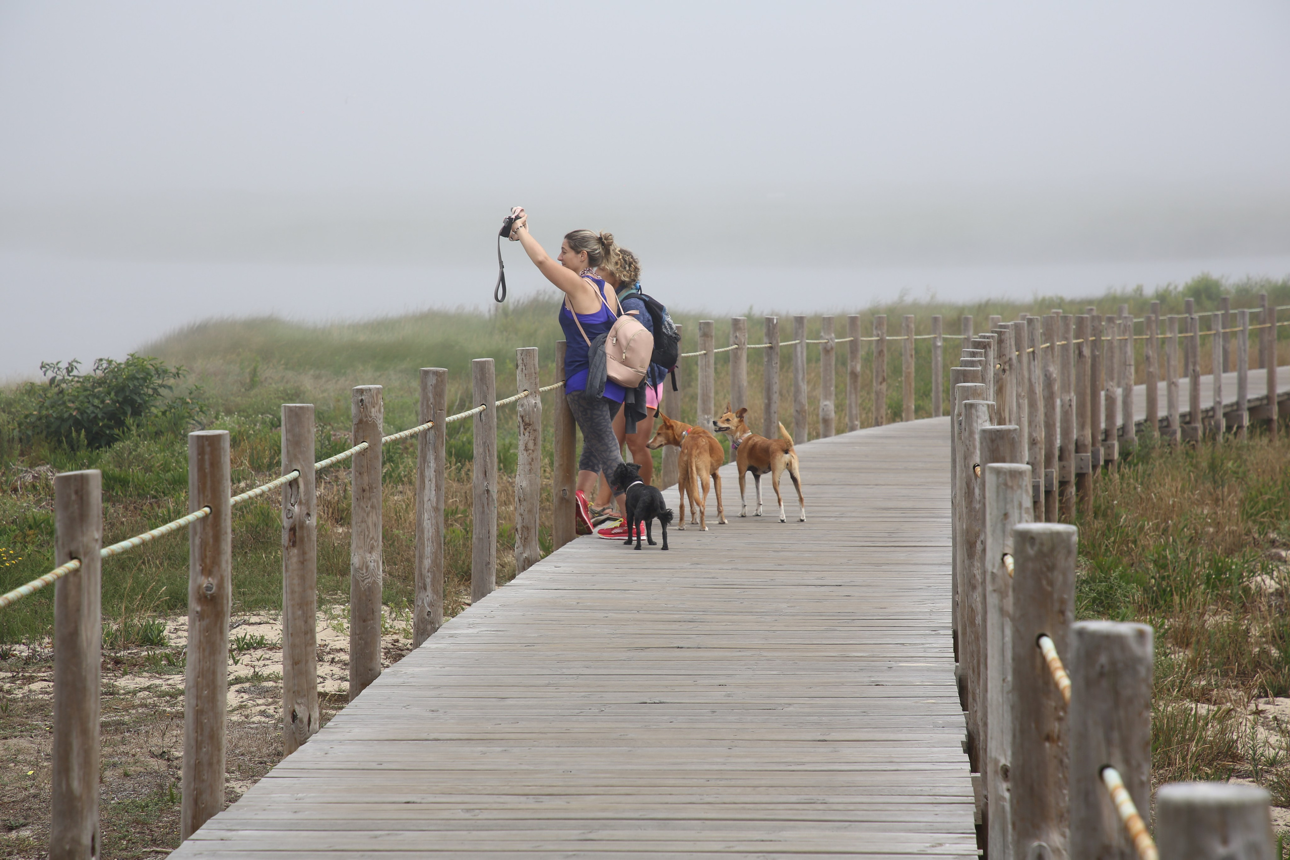 Esmoriz, Portugal. Andrey Filippov Photographer