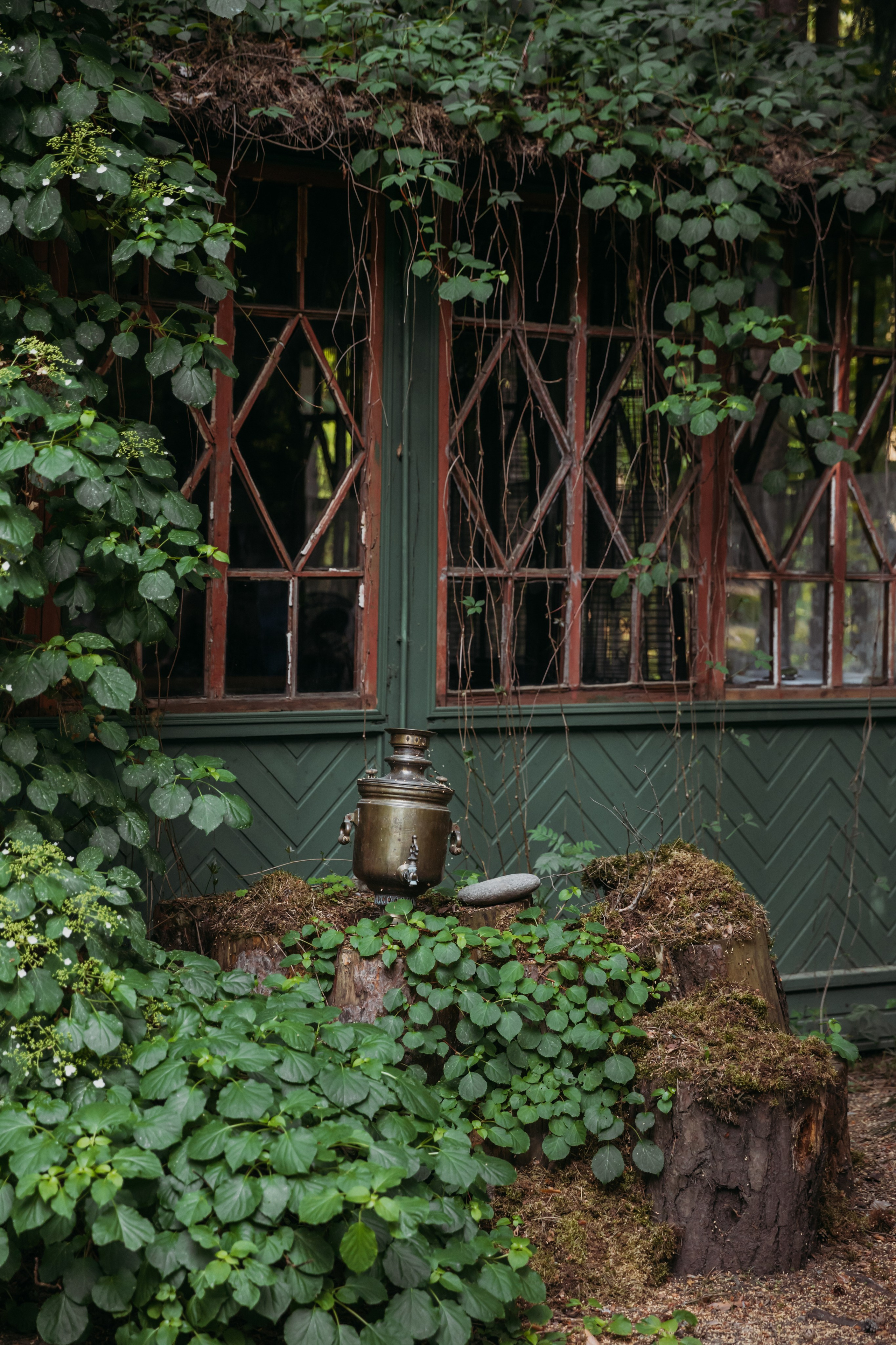 Родные люди «Переделкино». Леся Гаранина. Семейный фотограф/видеограф Москва и область