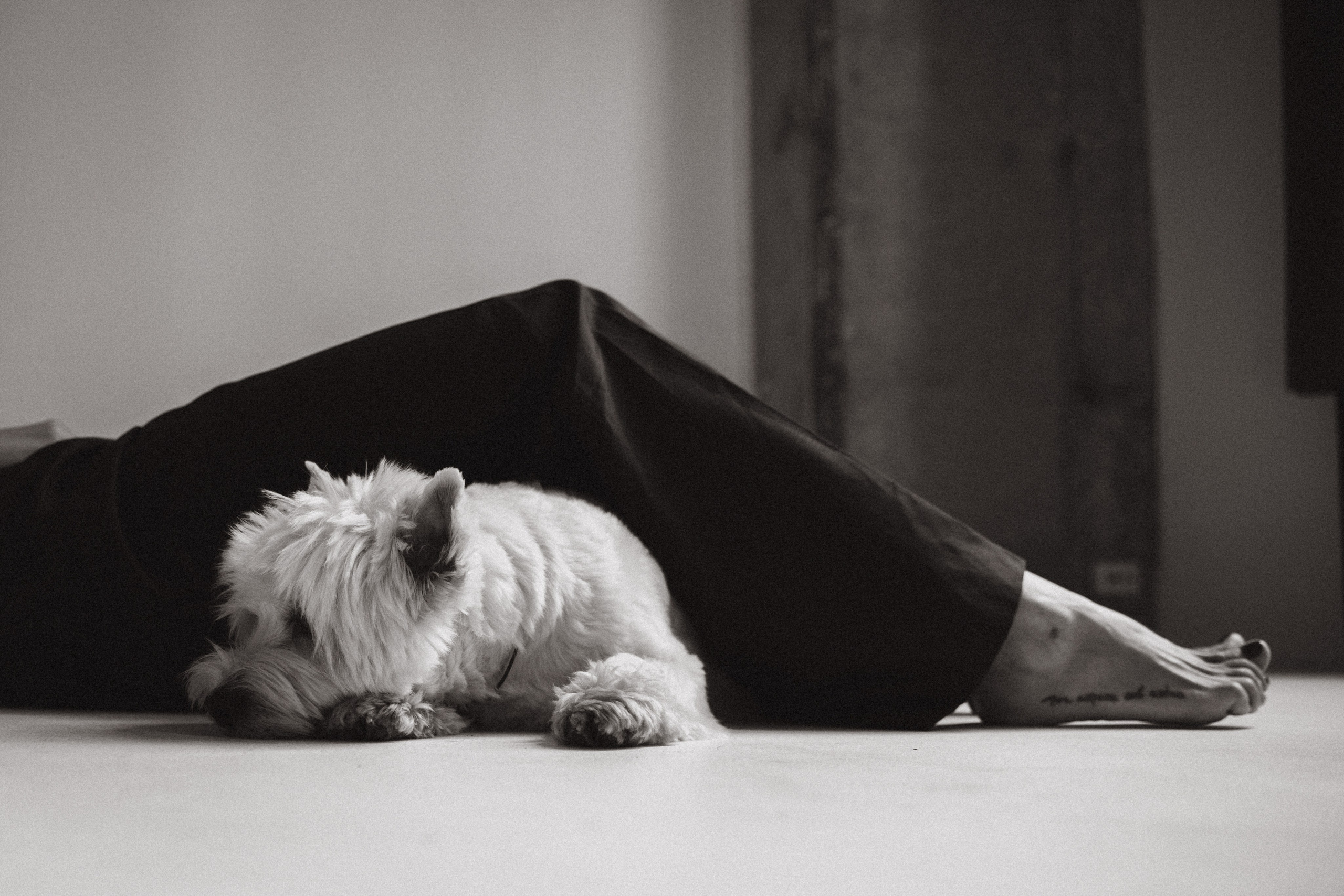 Вера и Бакс