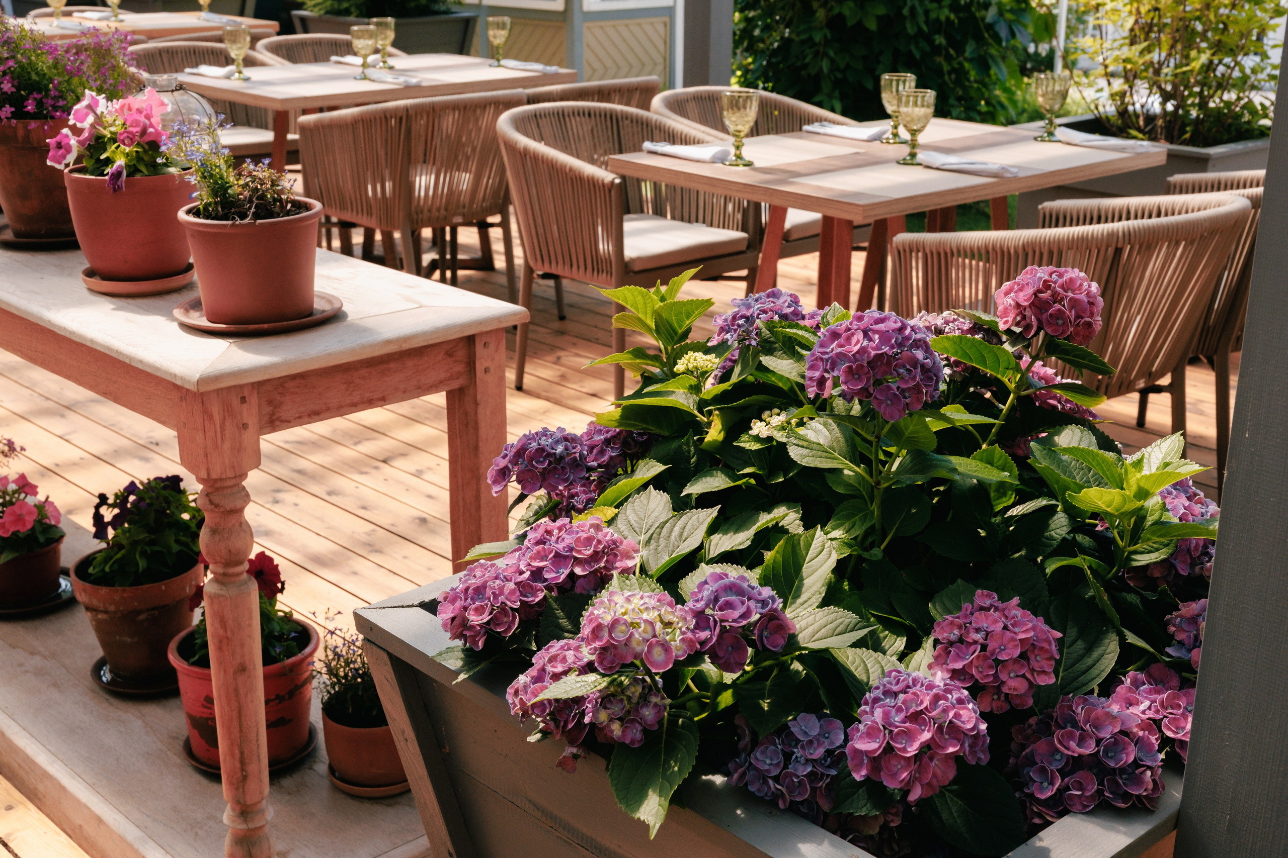 Пряности и радости на Васильевском острове. Репортажный фотограф в Санкт-Петербурге Жолудев Владислав