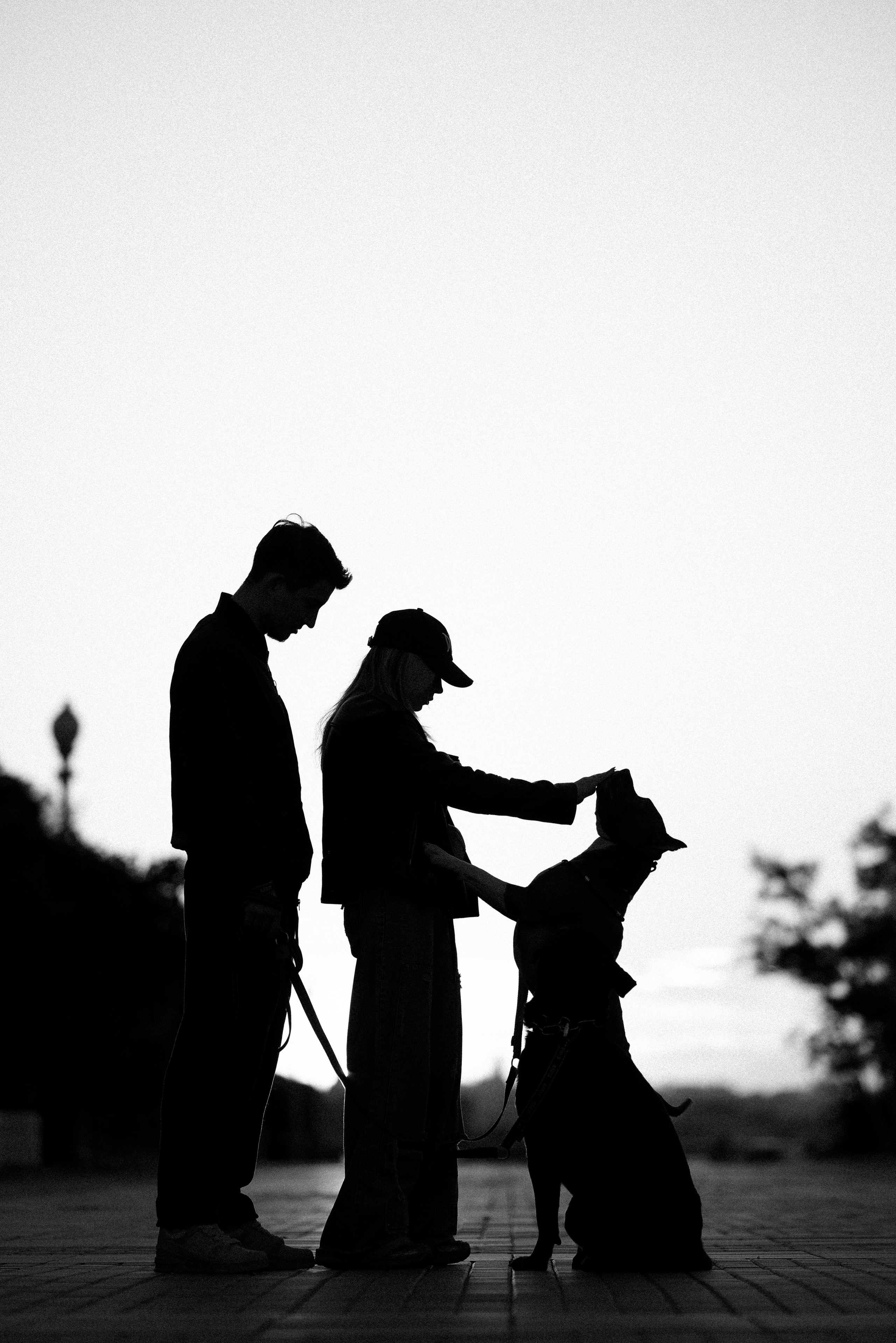 Катя, Леша, Лея и Трой. Фотограф и видеограф анималист Аганина Дарья