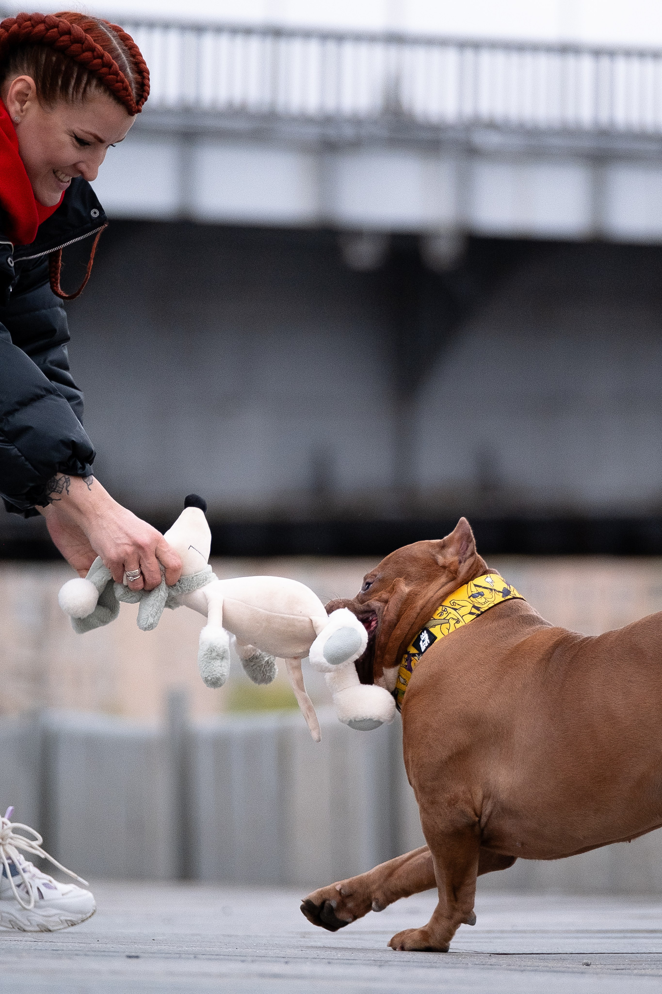 Спай и его семья. Фотограф и видеограф анималист Аганина Дарья