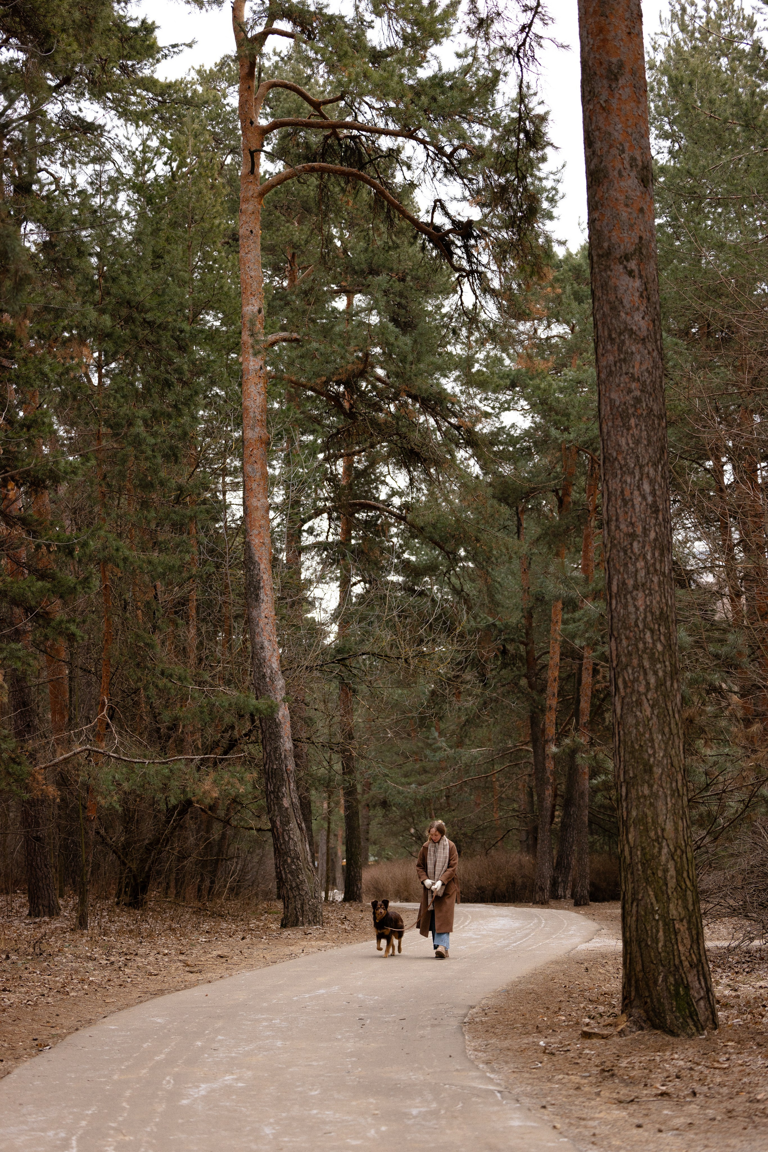 Катя и Мёд. Фотограф и видеограф анималист Аганина Дарья