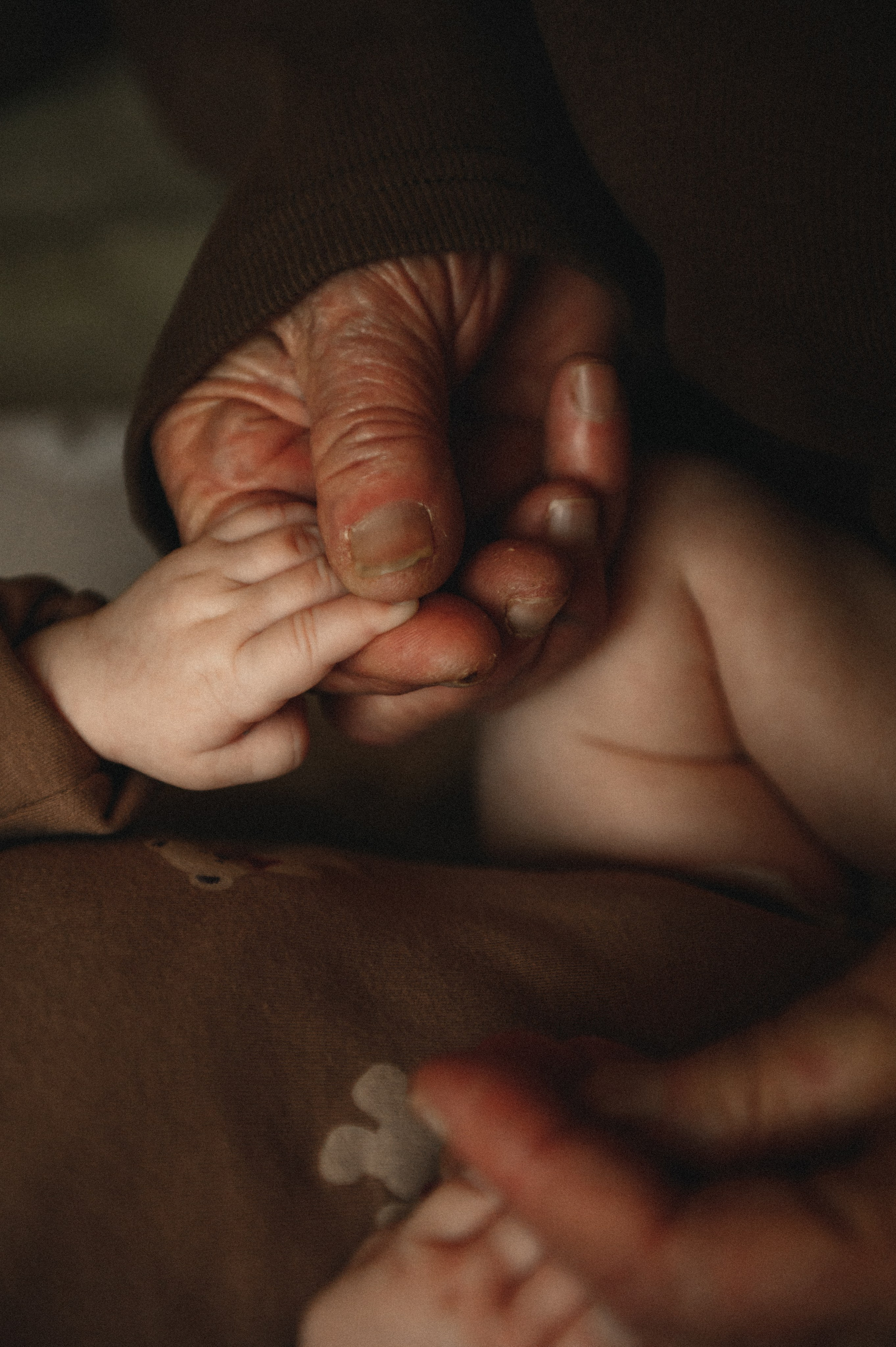 Домашняя съёмка «ПОКОЛЕНИЕ». Семейный фотограф в г. Ставрополь, Сорокина Мария