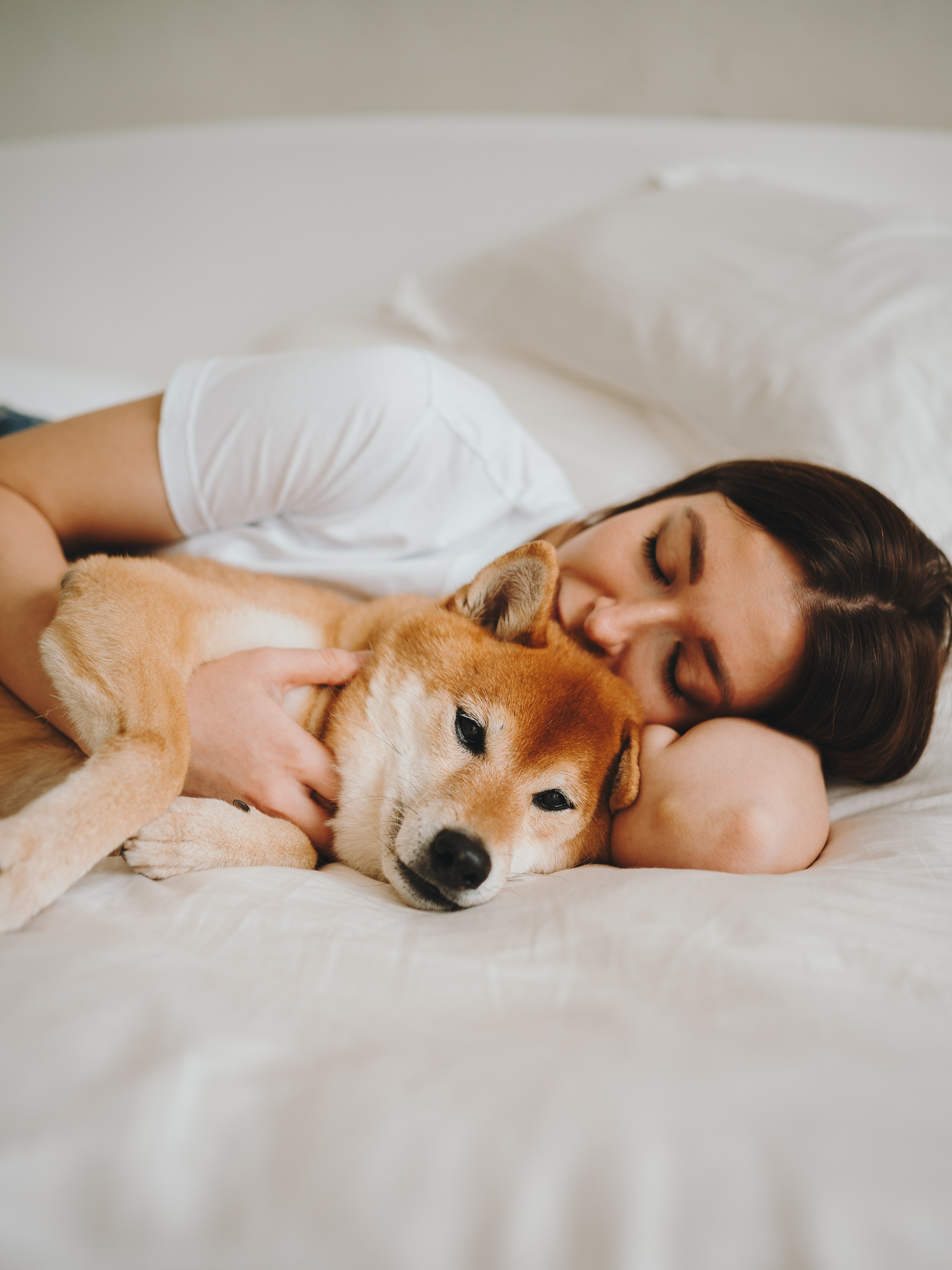 День рождения Кексика. Семейный фотограф анималист Ананьева Мария — Москва