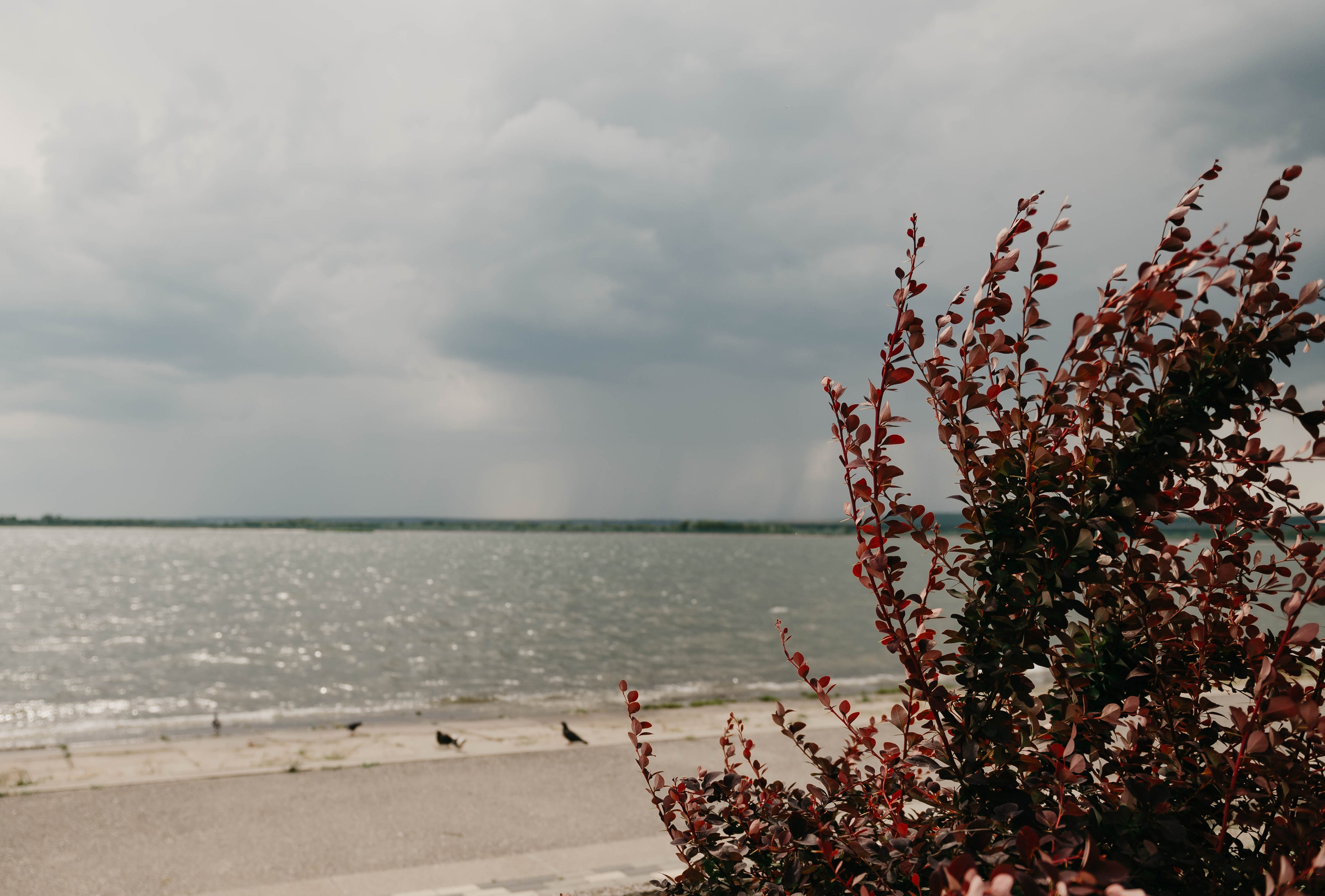 Антон и Настя. Свадебный фотограф Марина Жемчужникова в Москве и в Белгороде