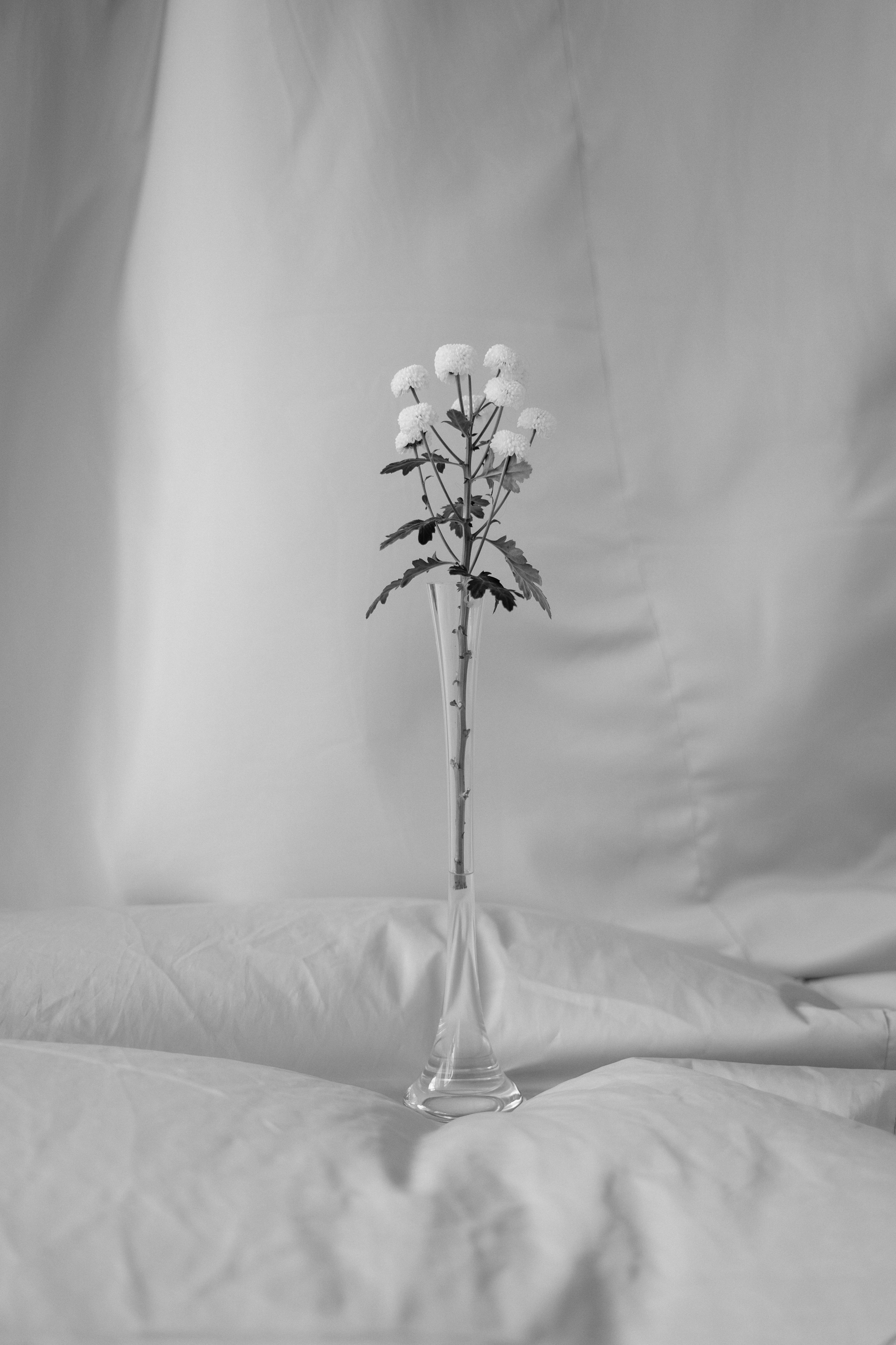 Даша. Фотограф Валерия Крахмалева