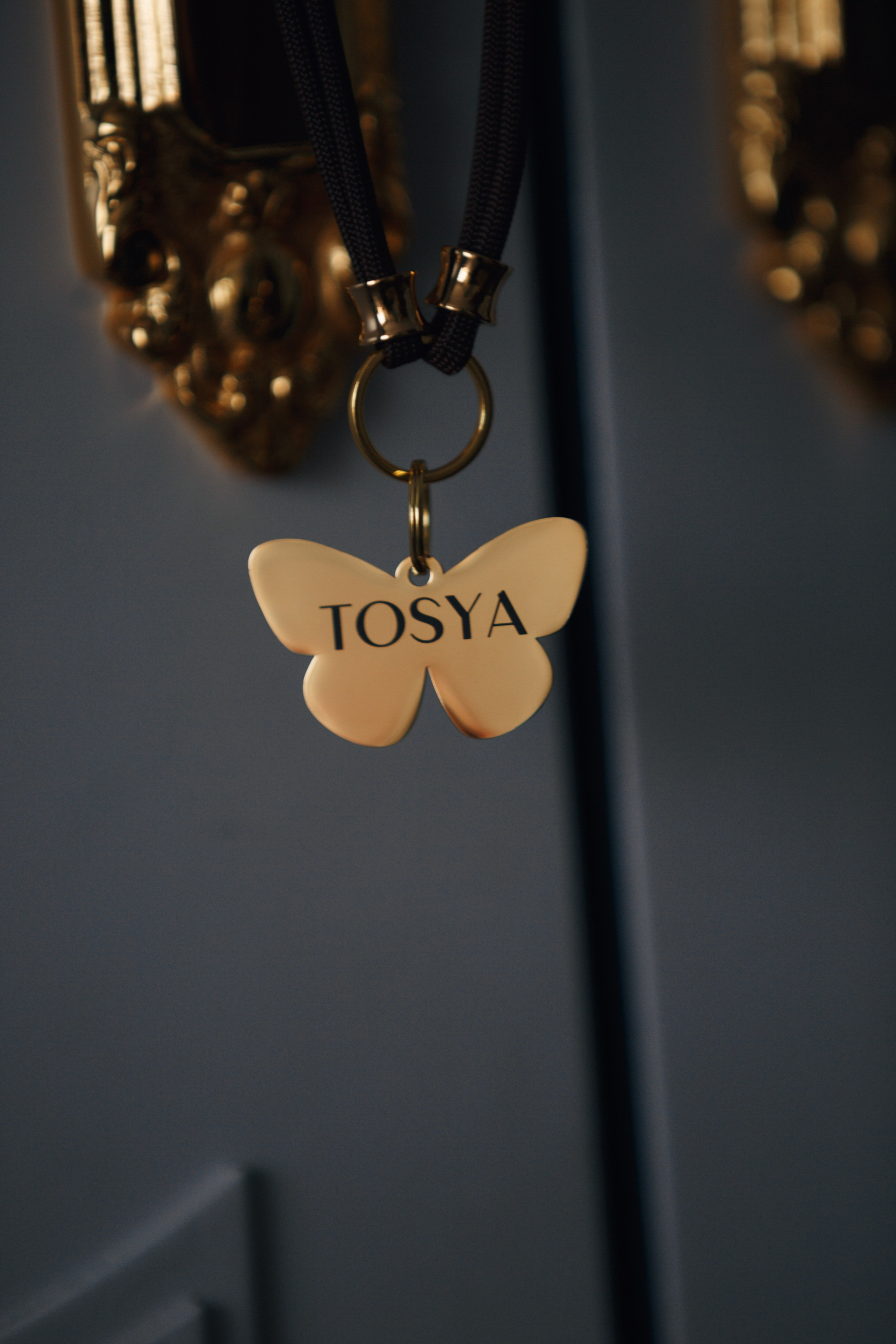 Bmbh лежанки и адресники. Фотограф анималист Кристина Карпова, Москва