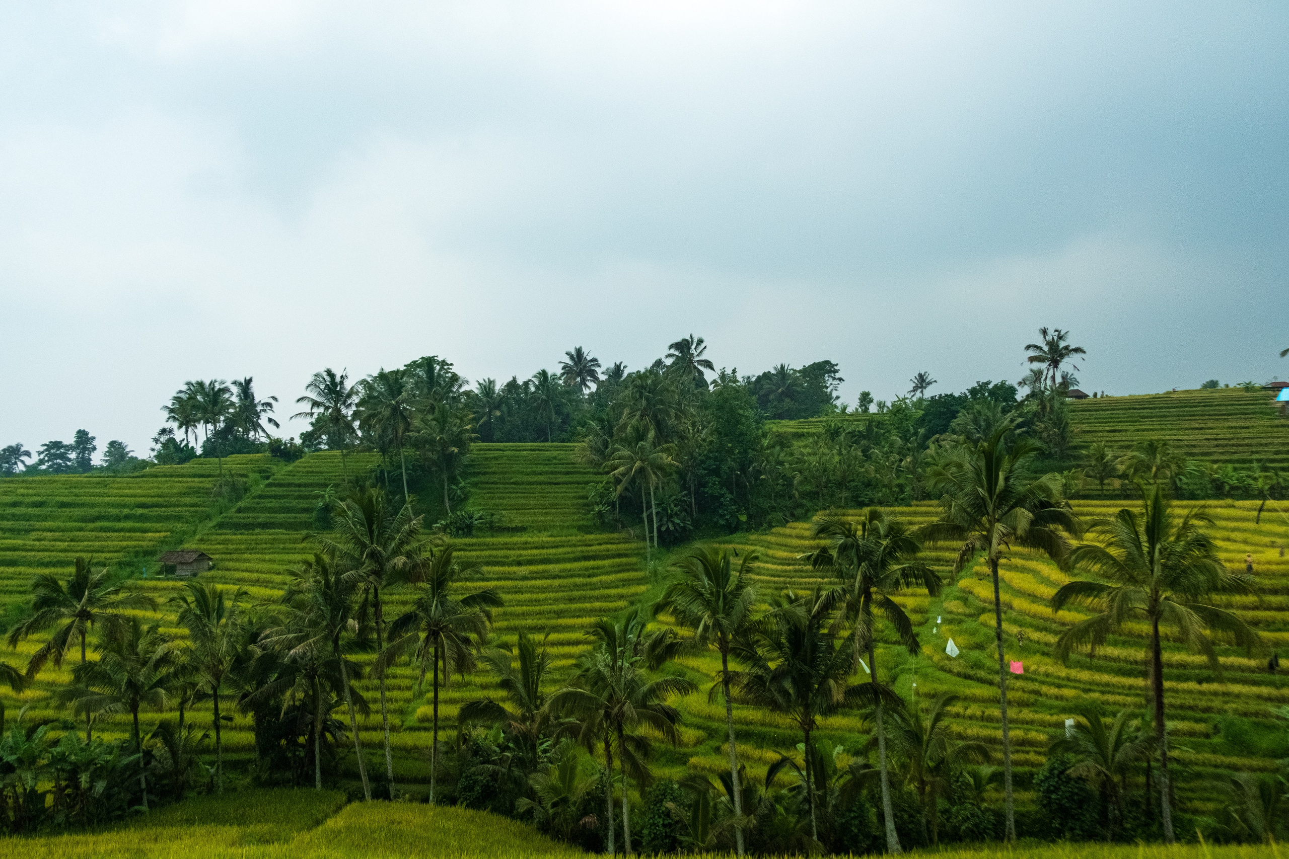 Остров Бали. Фотографии из путешествий