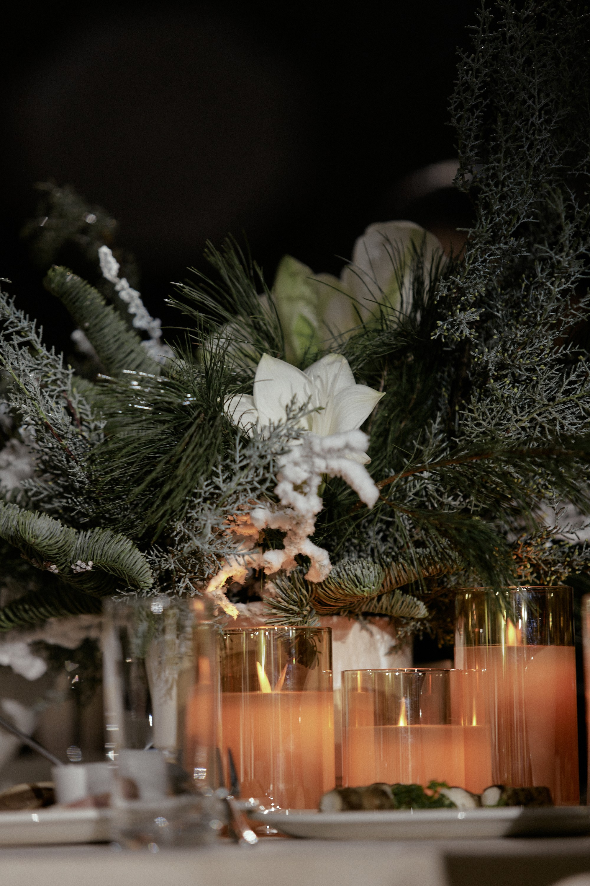 АВАЛОН. Happy New Year. Дмитрий Мазуркевич: Профессиональный Репортажный Фотограф