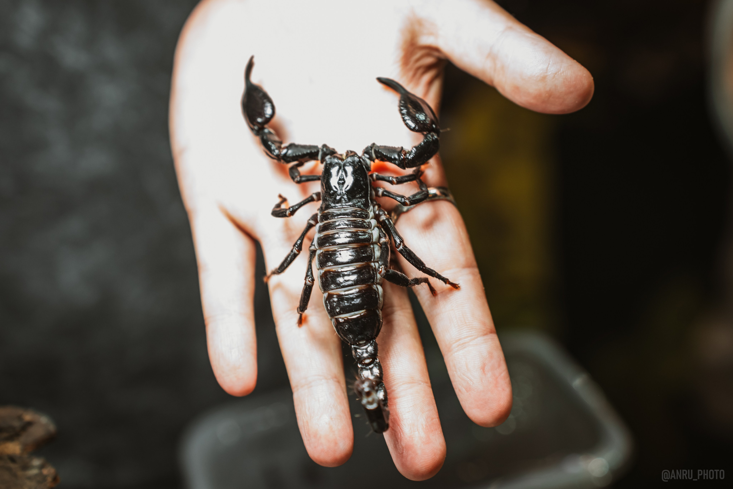 Рептилиум. Репортажный фотограф Анастасия Рубцова