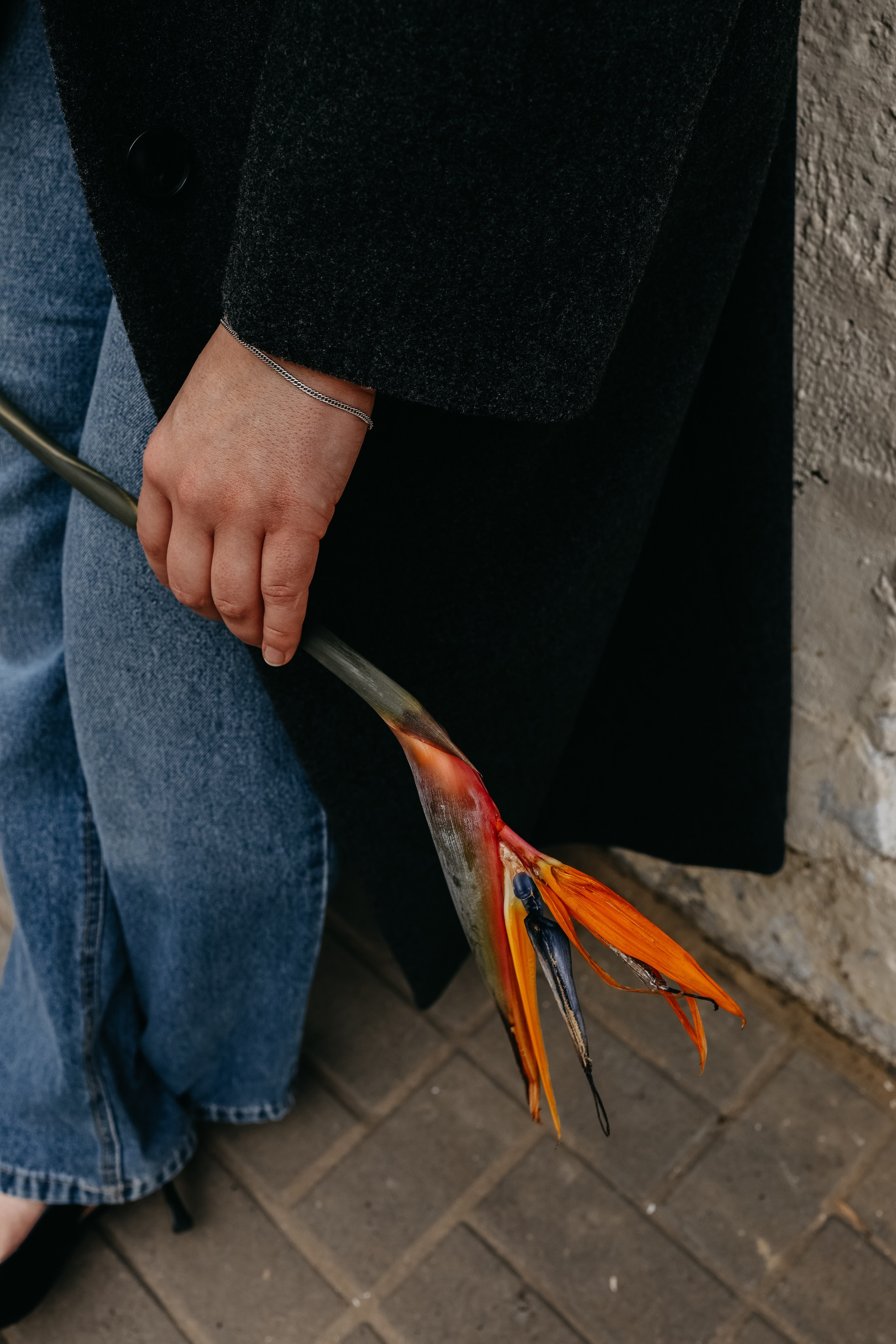 Анастасия. Свадебный и семейный фотограф в Воронеже Ксения Воротникова
