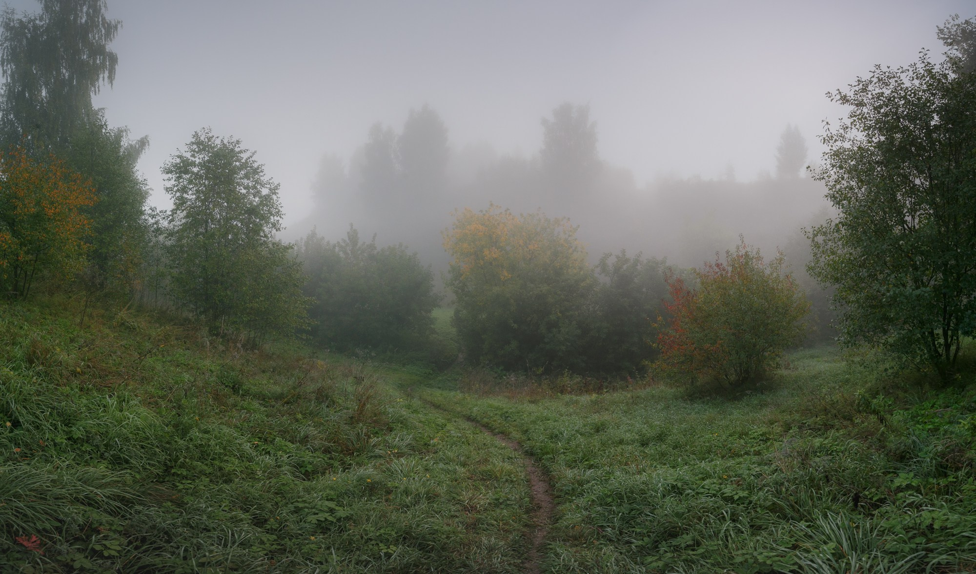 Средняя полоса. Свадебный и репортажный фотограф в Ярославле и Санкт-Петербурге Роман Микрюков