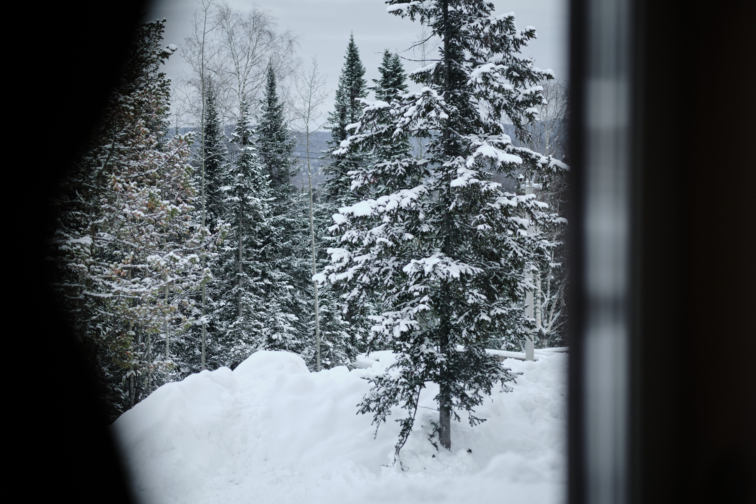 Ледовая 59 Дом 1. Свадебный и семейный фотограф в Новокузнецке Иван Иванов