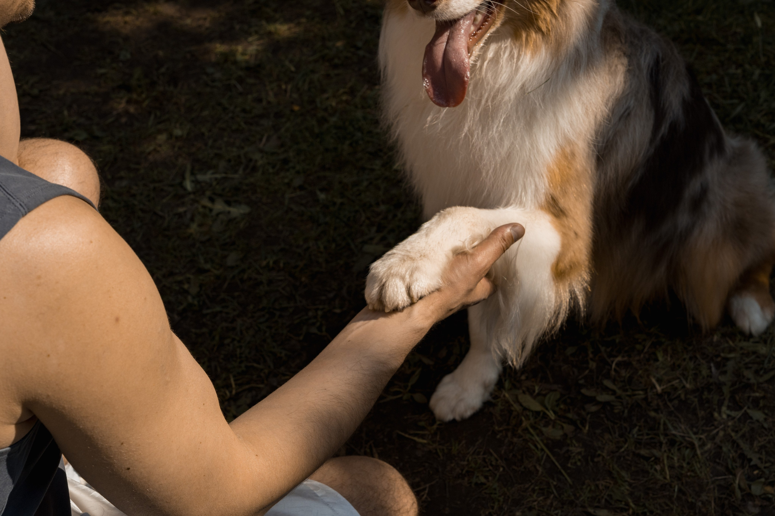 Фотограф в Москве Лера Голубенко