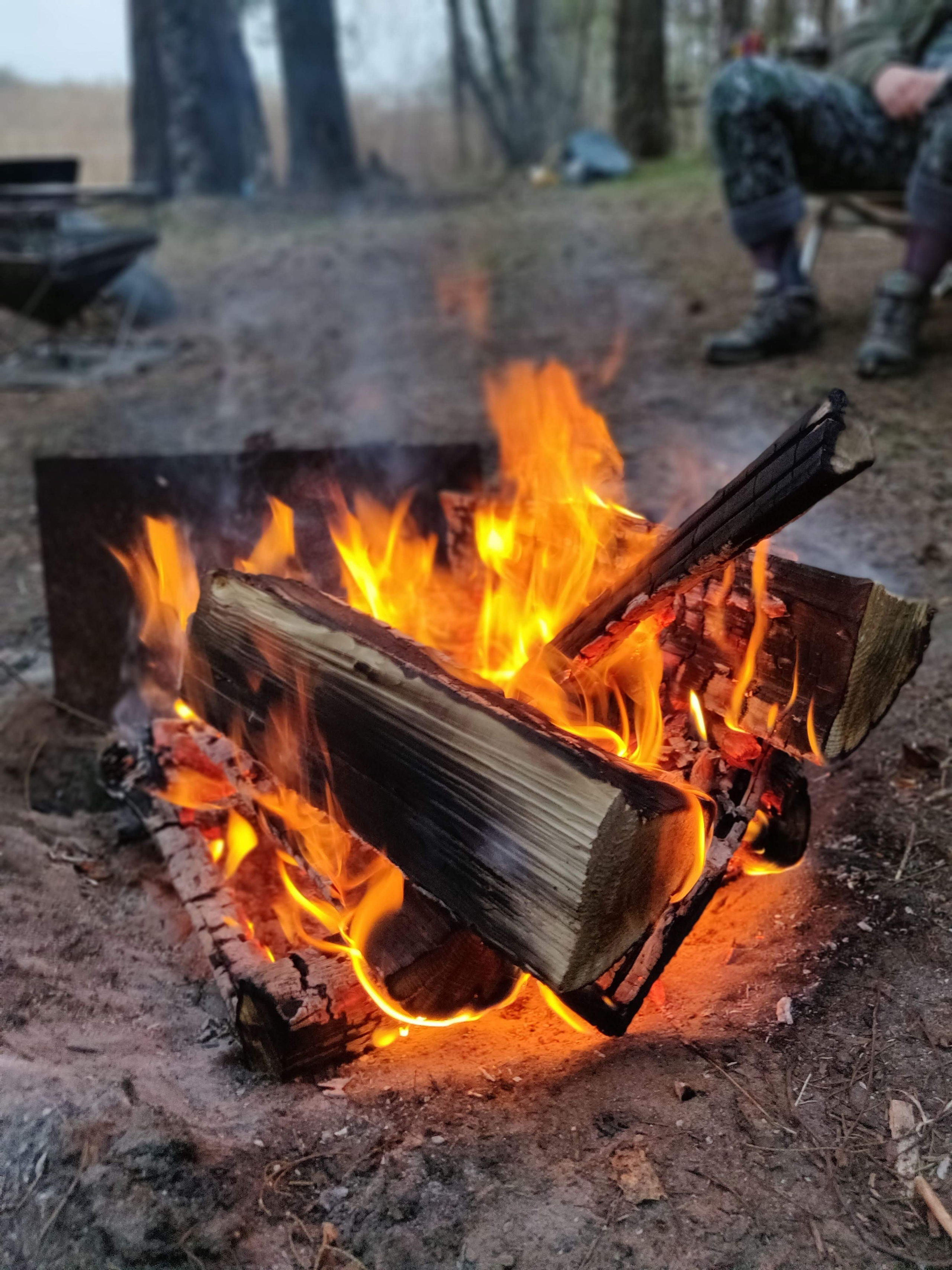 Автор: Евгения Бушменова