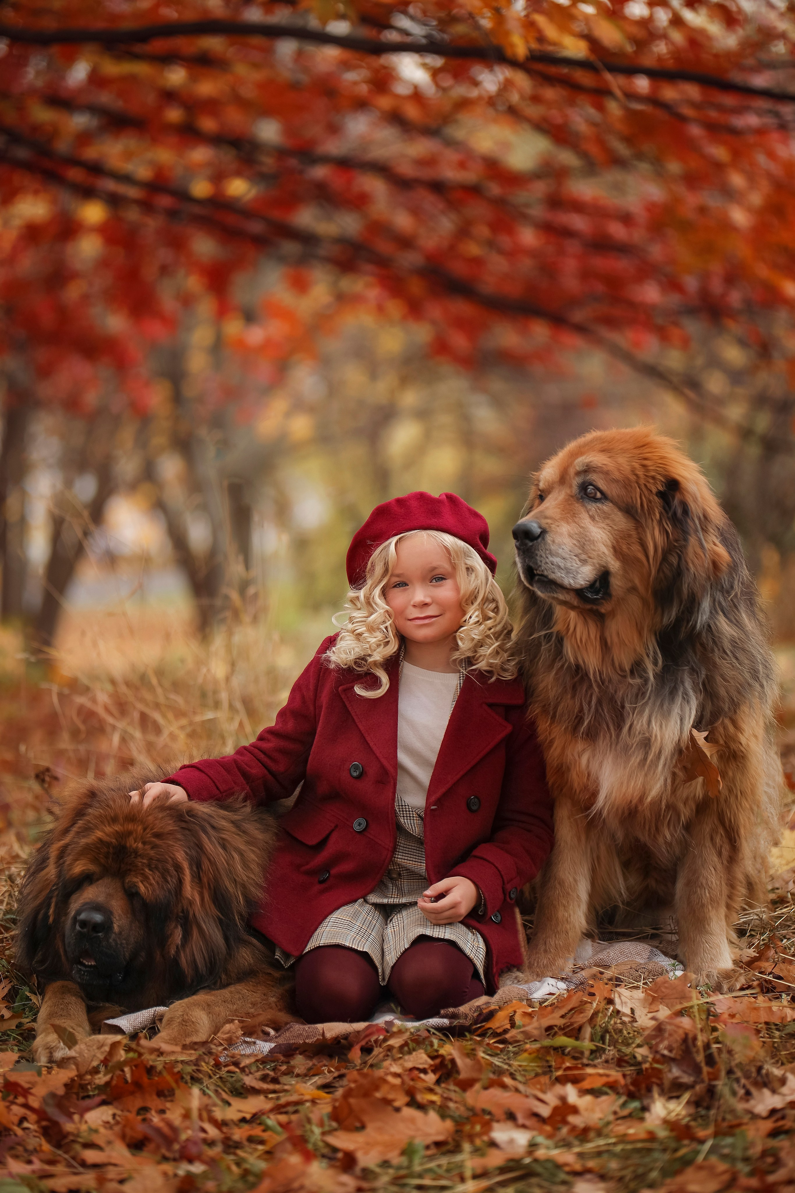 Парк Коломенское с Мастифами. Детский и семейный фотограф г. Москва Оксана Катаджи