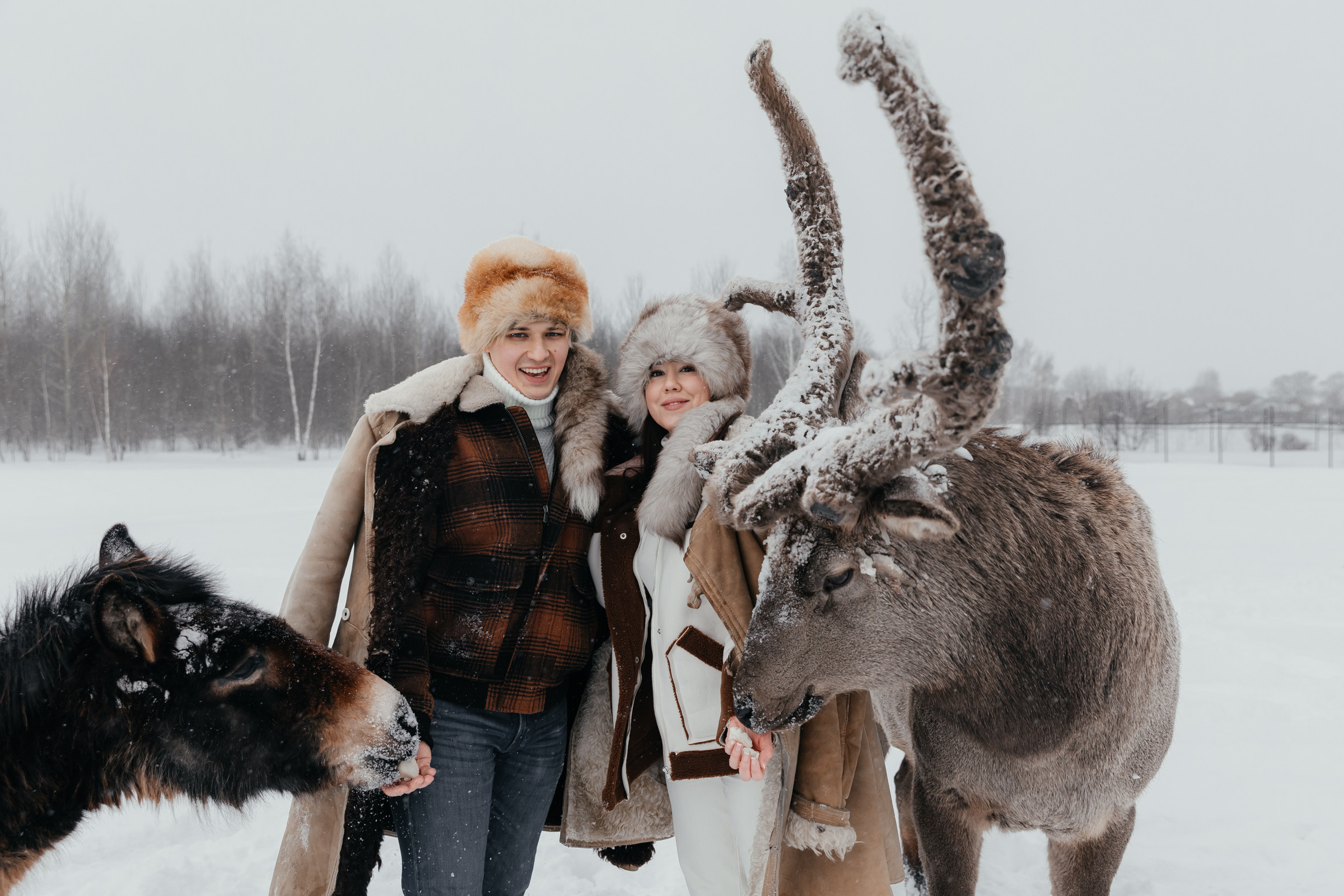 Зимняя фотосессия с оленями в «Аванпост». Свадебный фотограф в Москве Екатерина Гусева