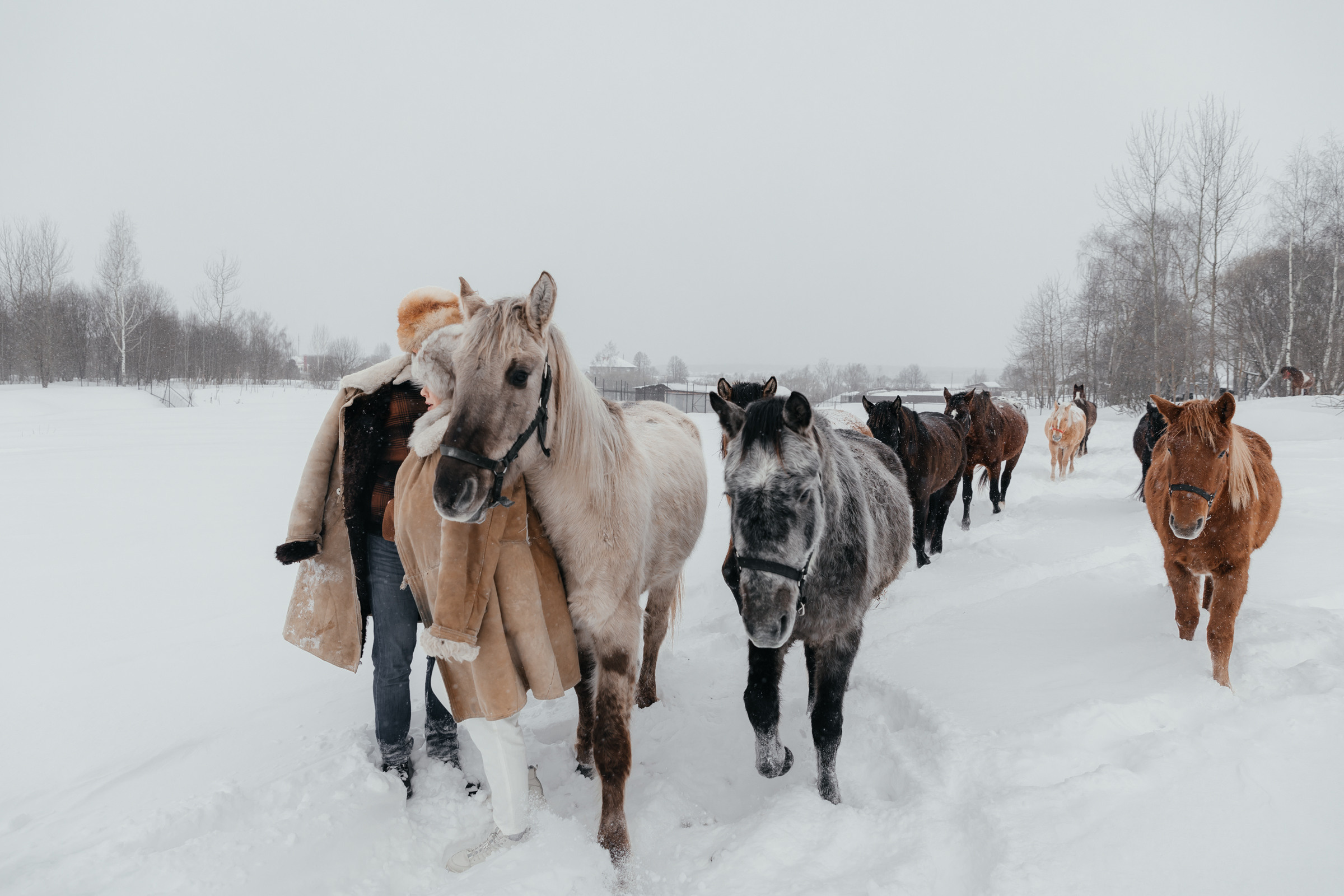 Зимняя фотосессия с оленями в «Аванпост». Свадебный фотограф в Москве Екатерина Гусева