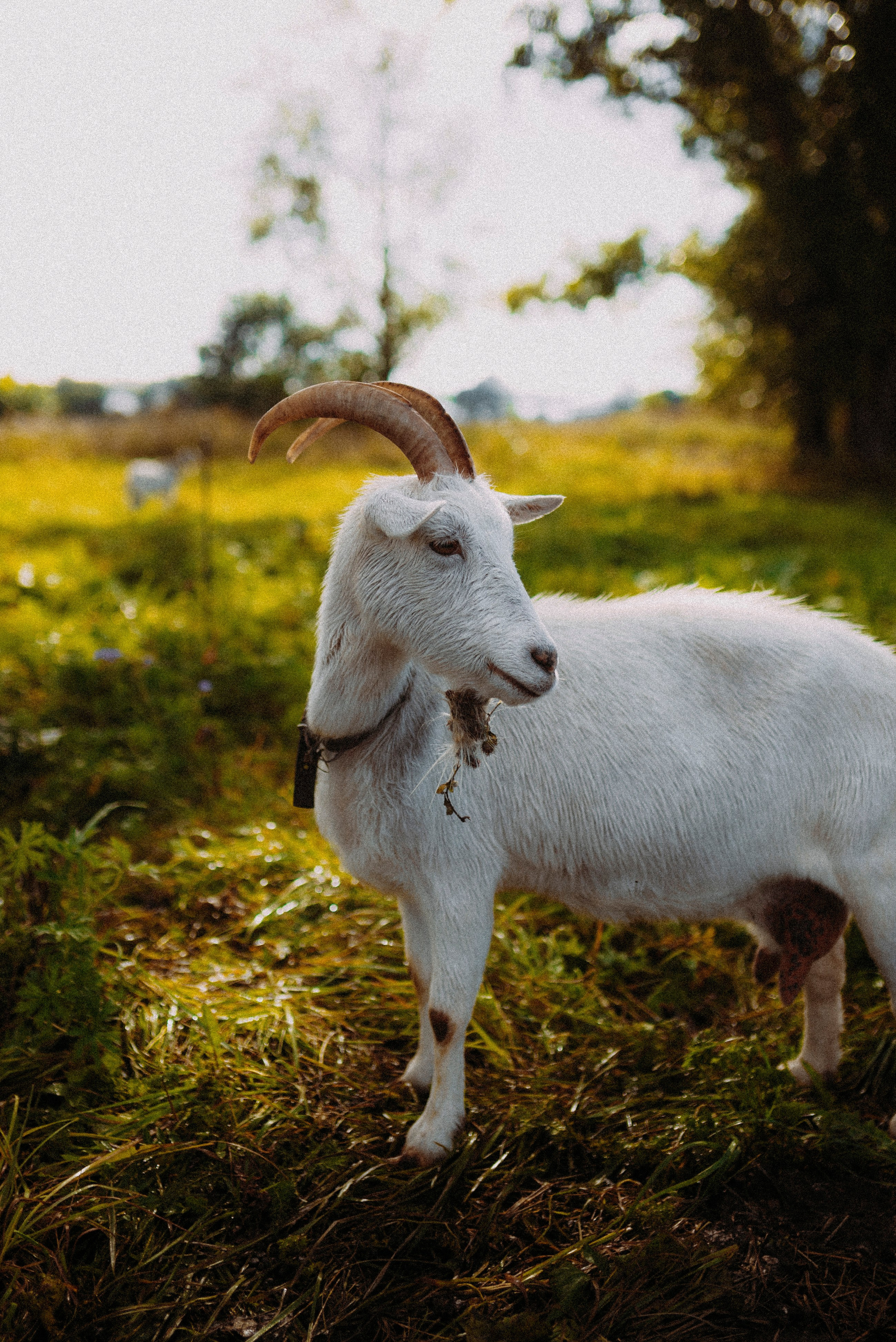 2024. Стрит-фотография, полная абсурда, идиотизма и красоты