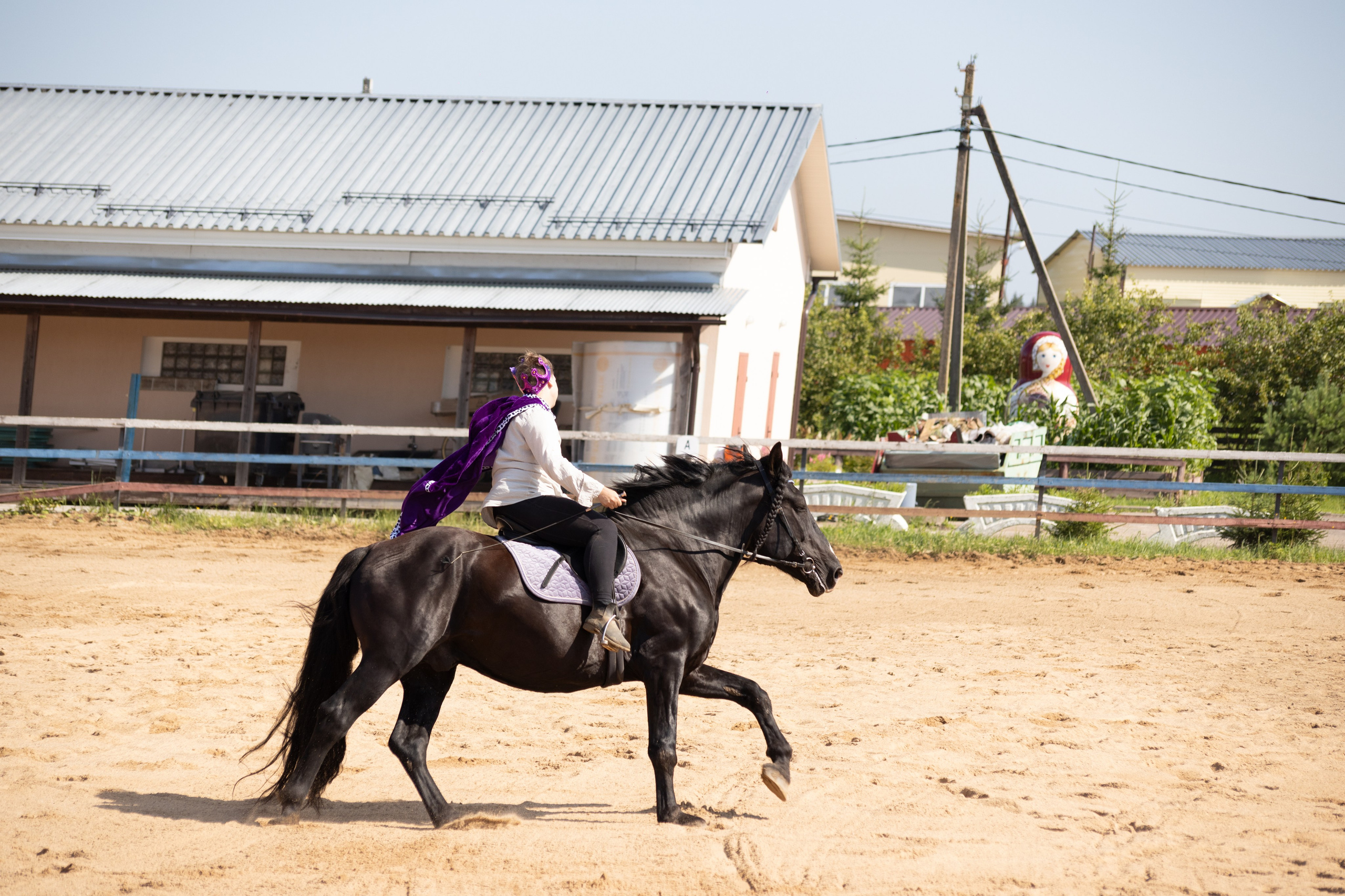 Конюшня. Фотограф в Москве и Истре
