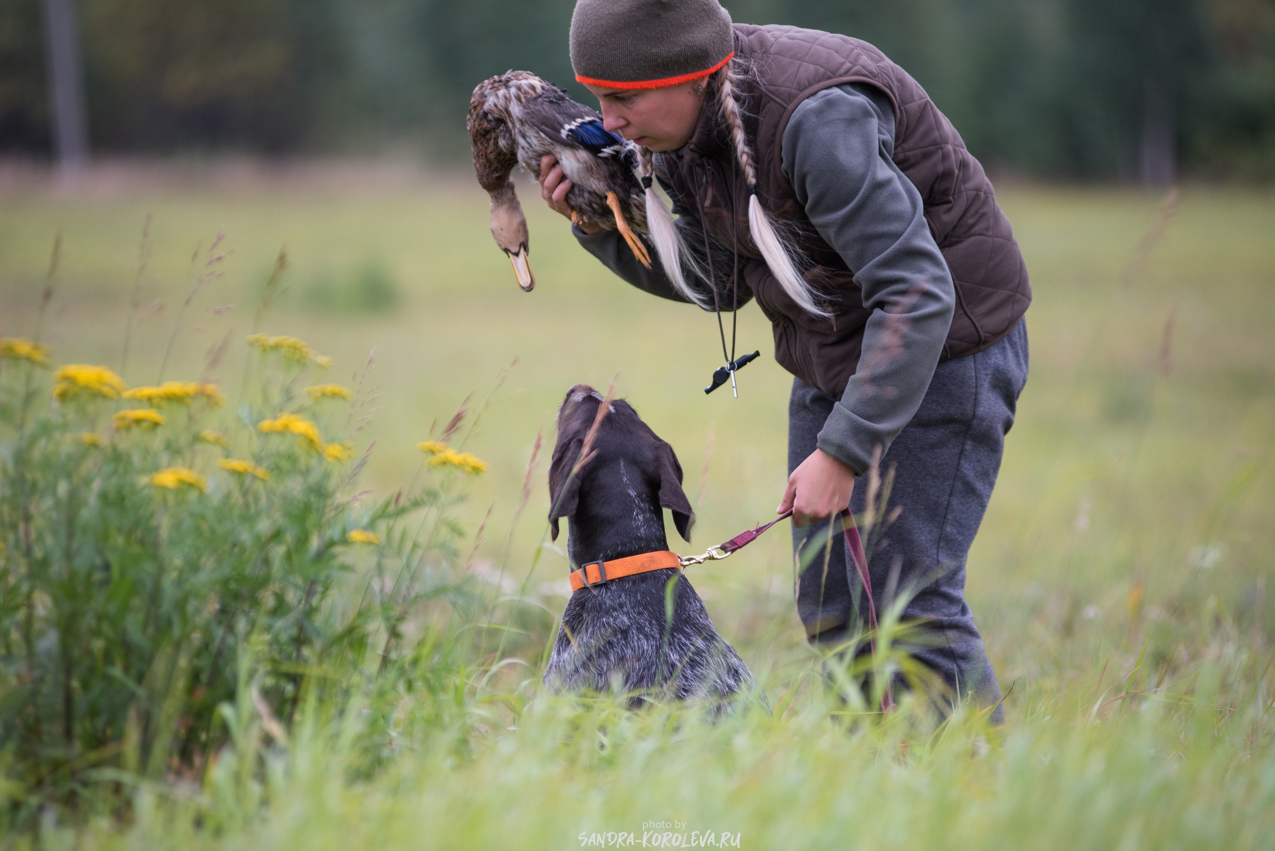 Рабочие дипломы. Главная