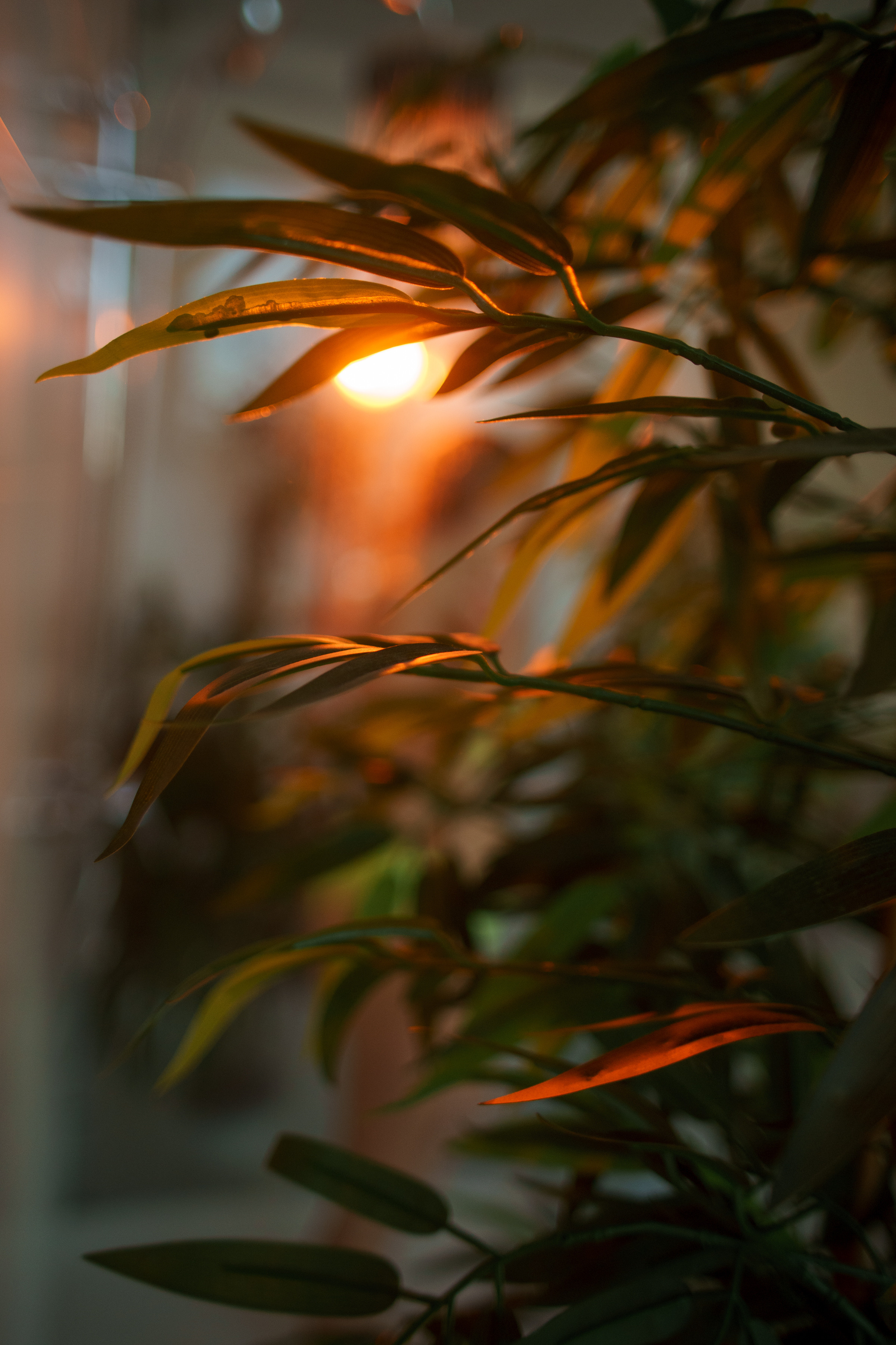 Лена. Ольга Плаксина фотограф в Саратове