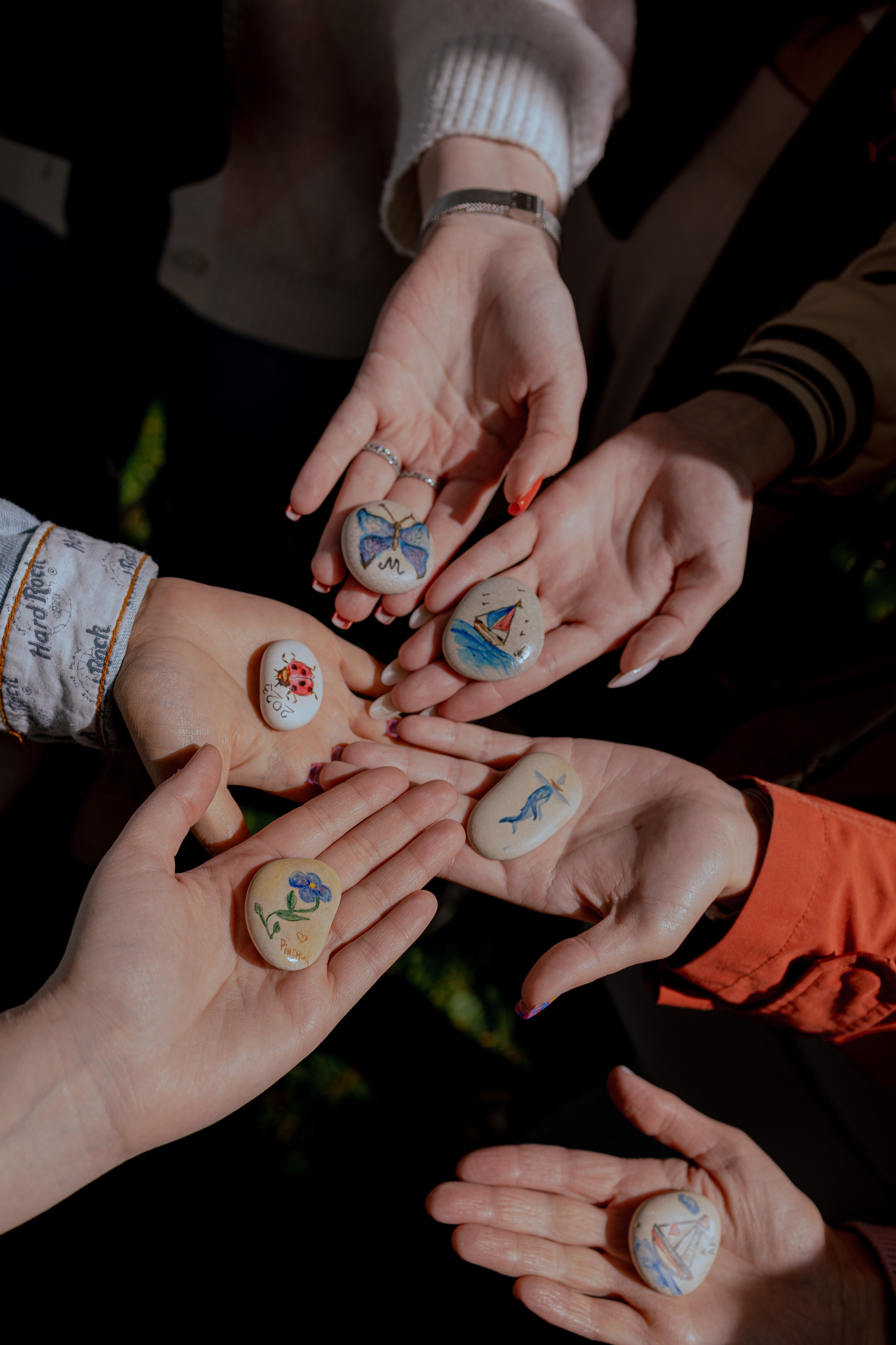 Мк Акварель (рисунки на камнях). Анастасия Ракчеева Художник