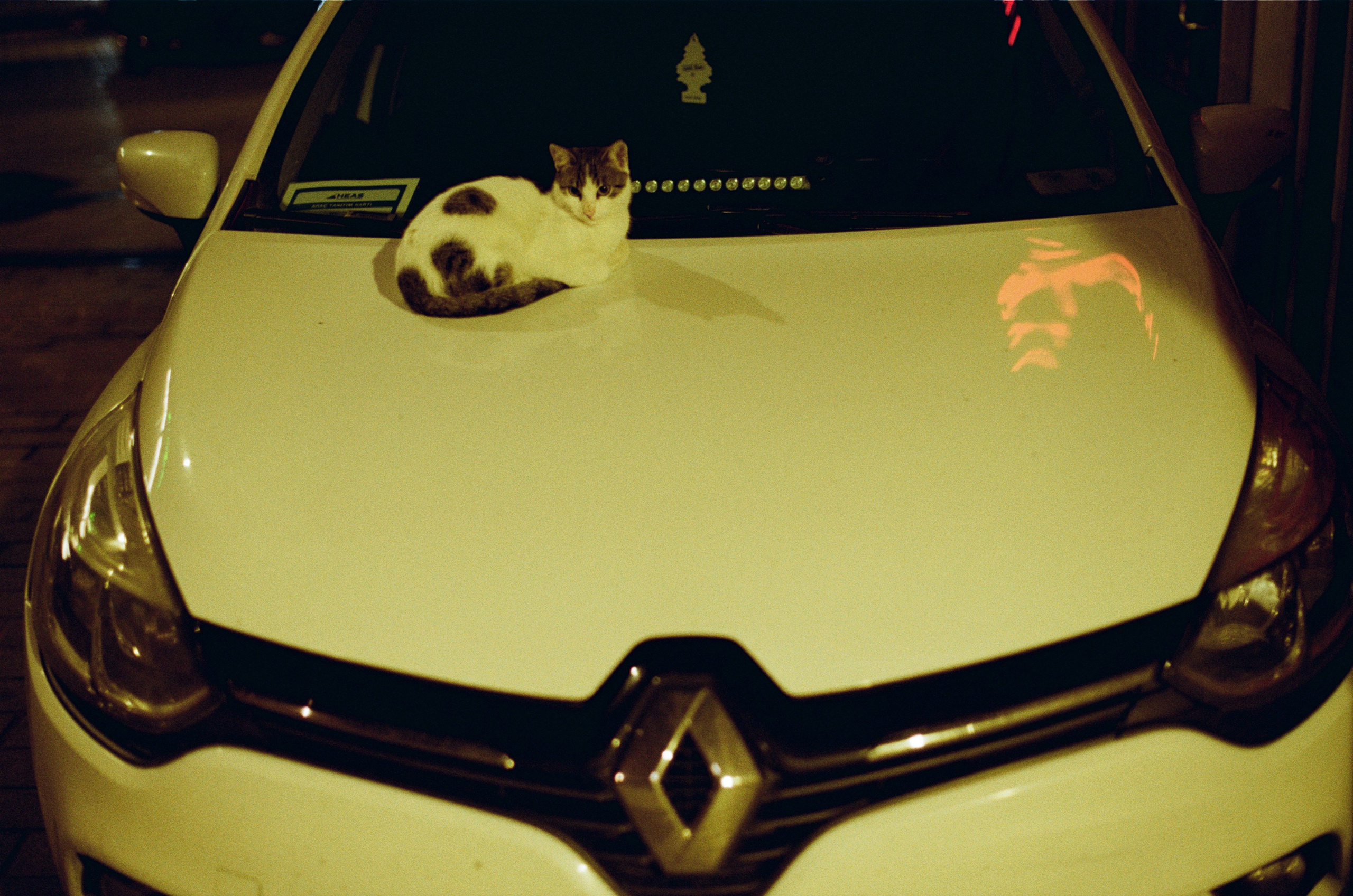 Complicated // turkey, istanbul III. EVER EXPOSED