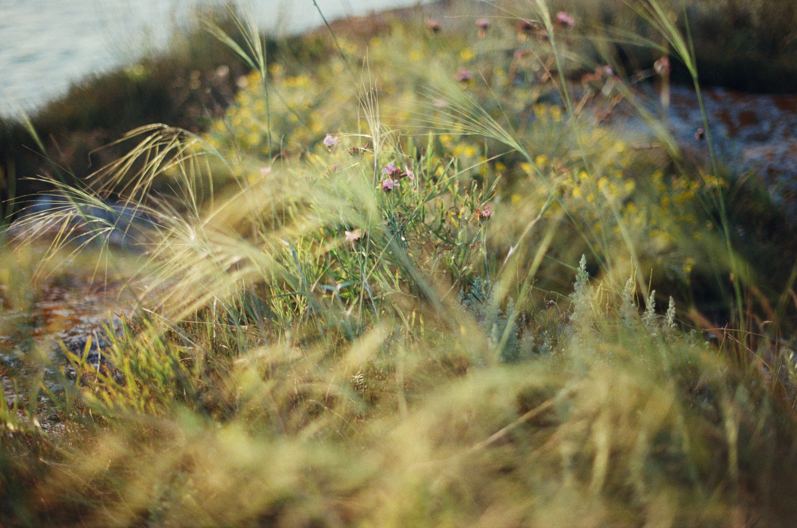 Silent running // ukraine, crimea III. EVER EXPOSED
