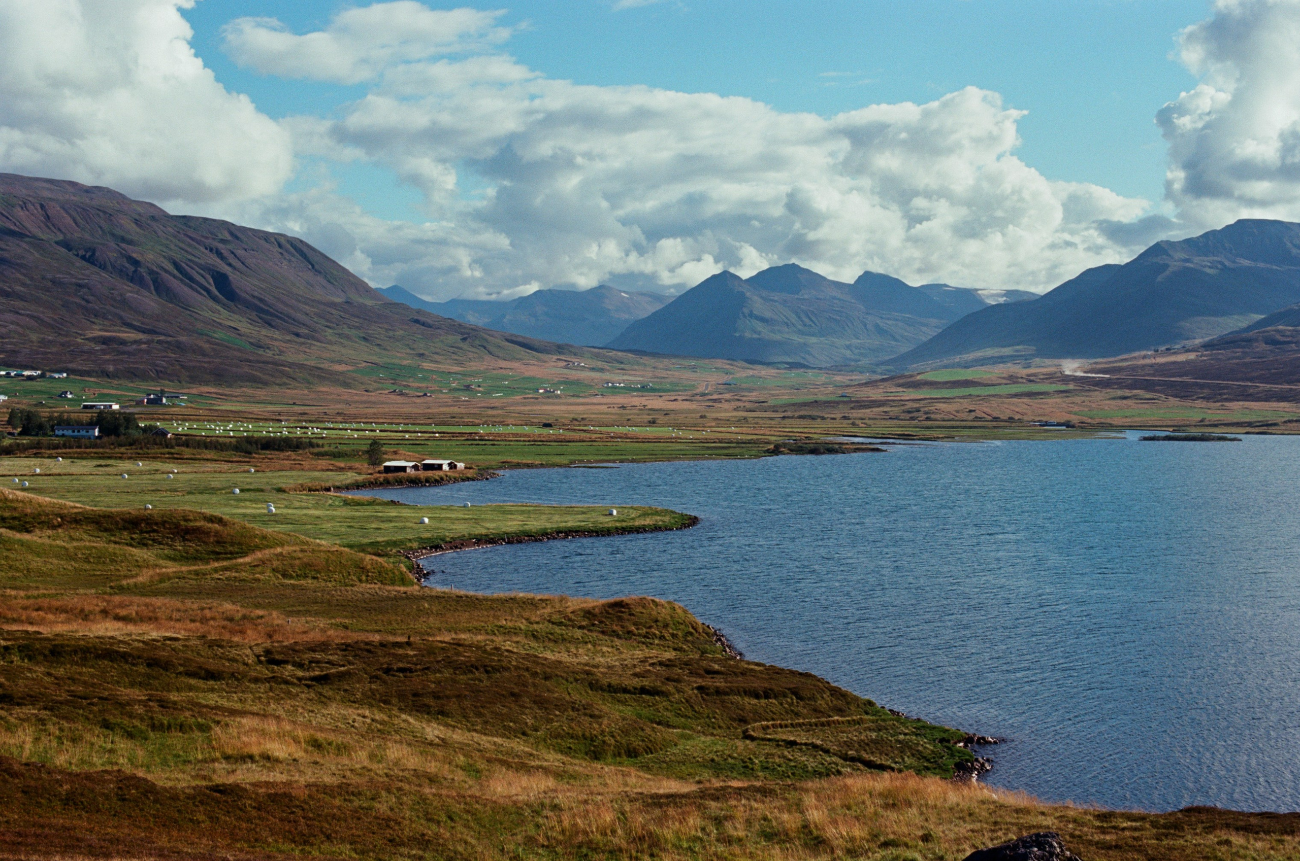 Bloodline // iceland, 76. EVER EXPOSED