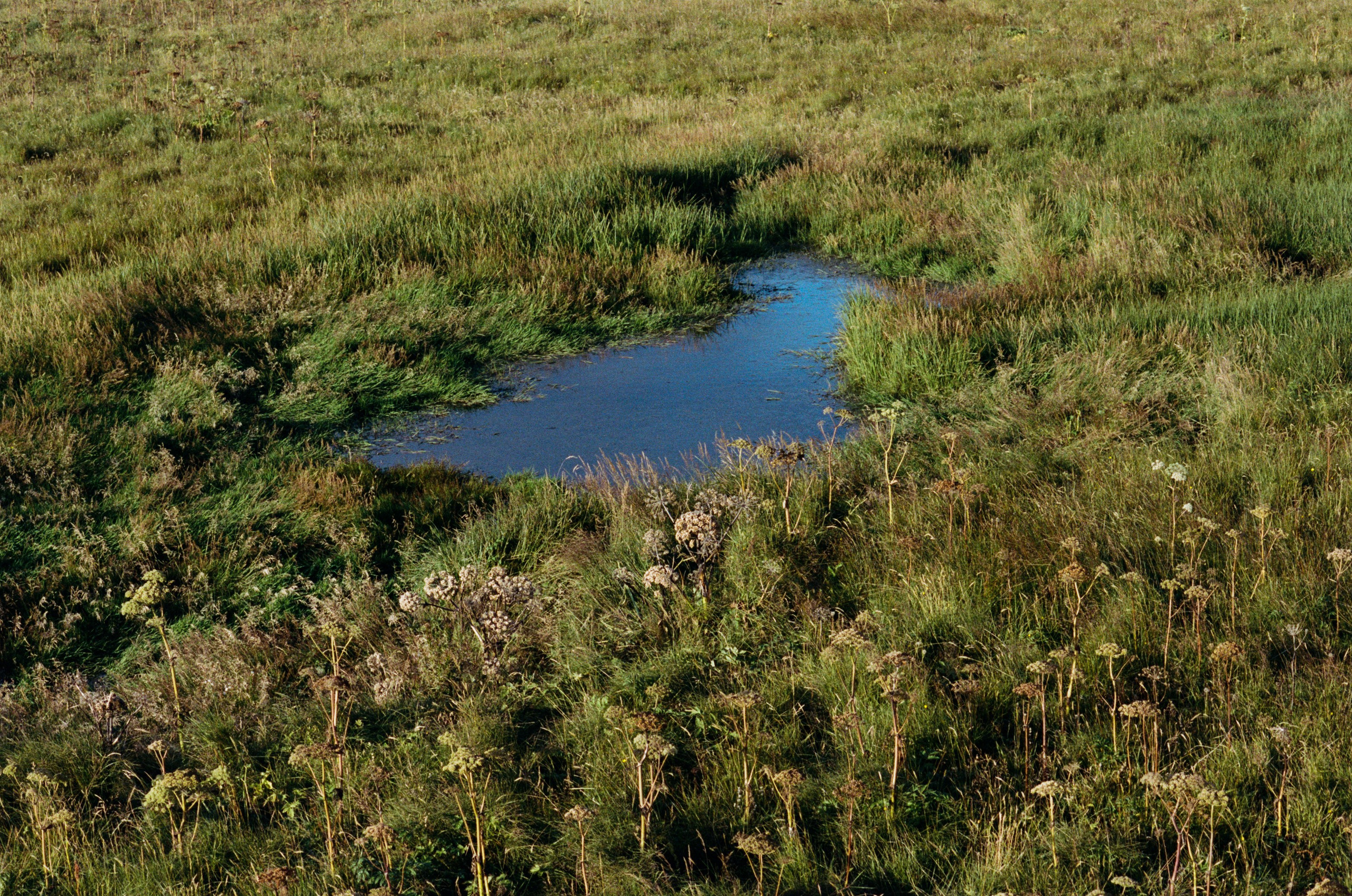 Human // iceland, dyrhólaey. EVER EXPOSED