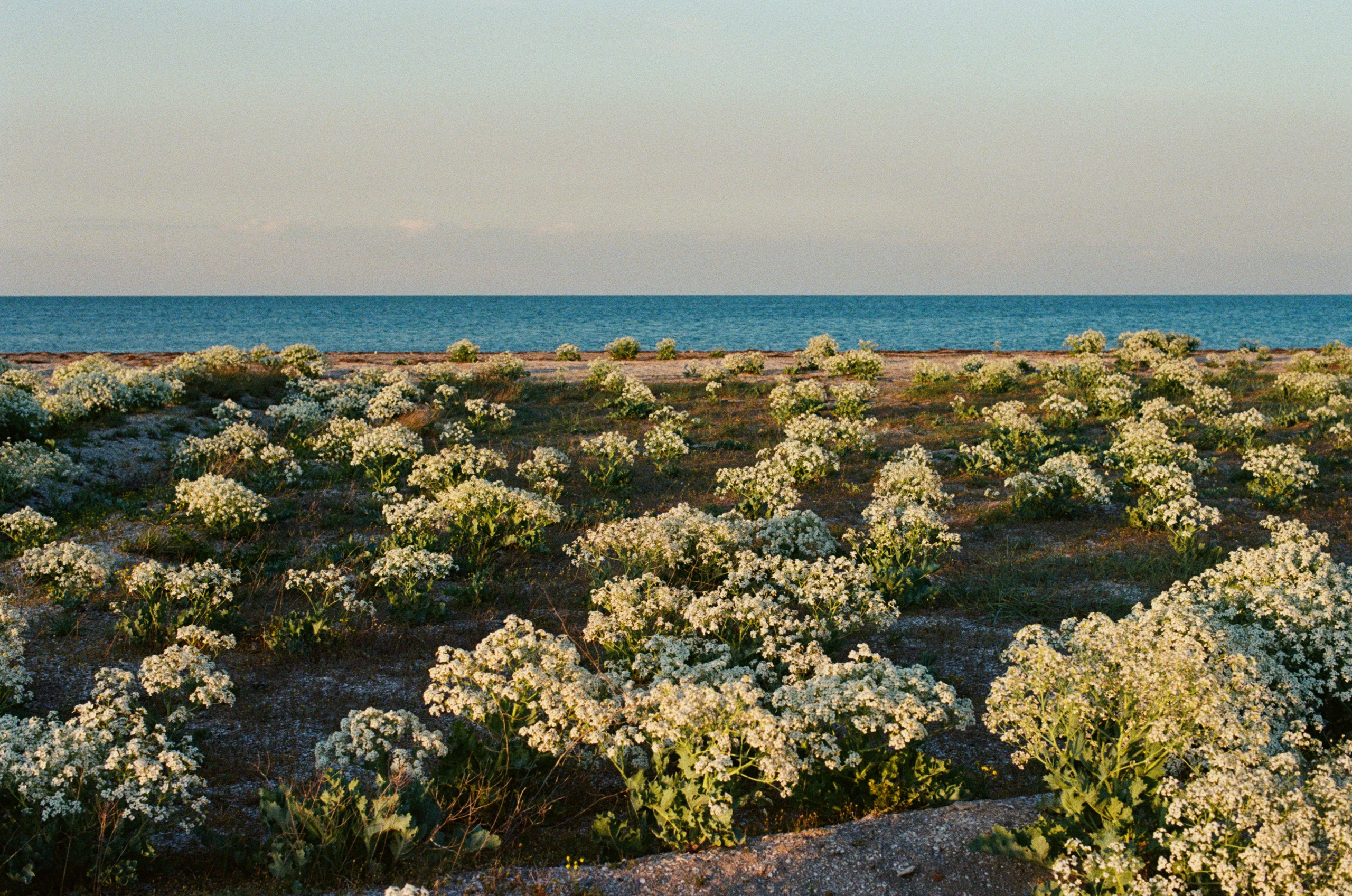 The drugs don't work // ukraine, crimea. EVER EXPOSED