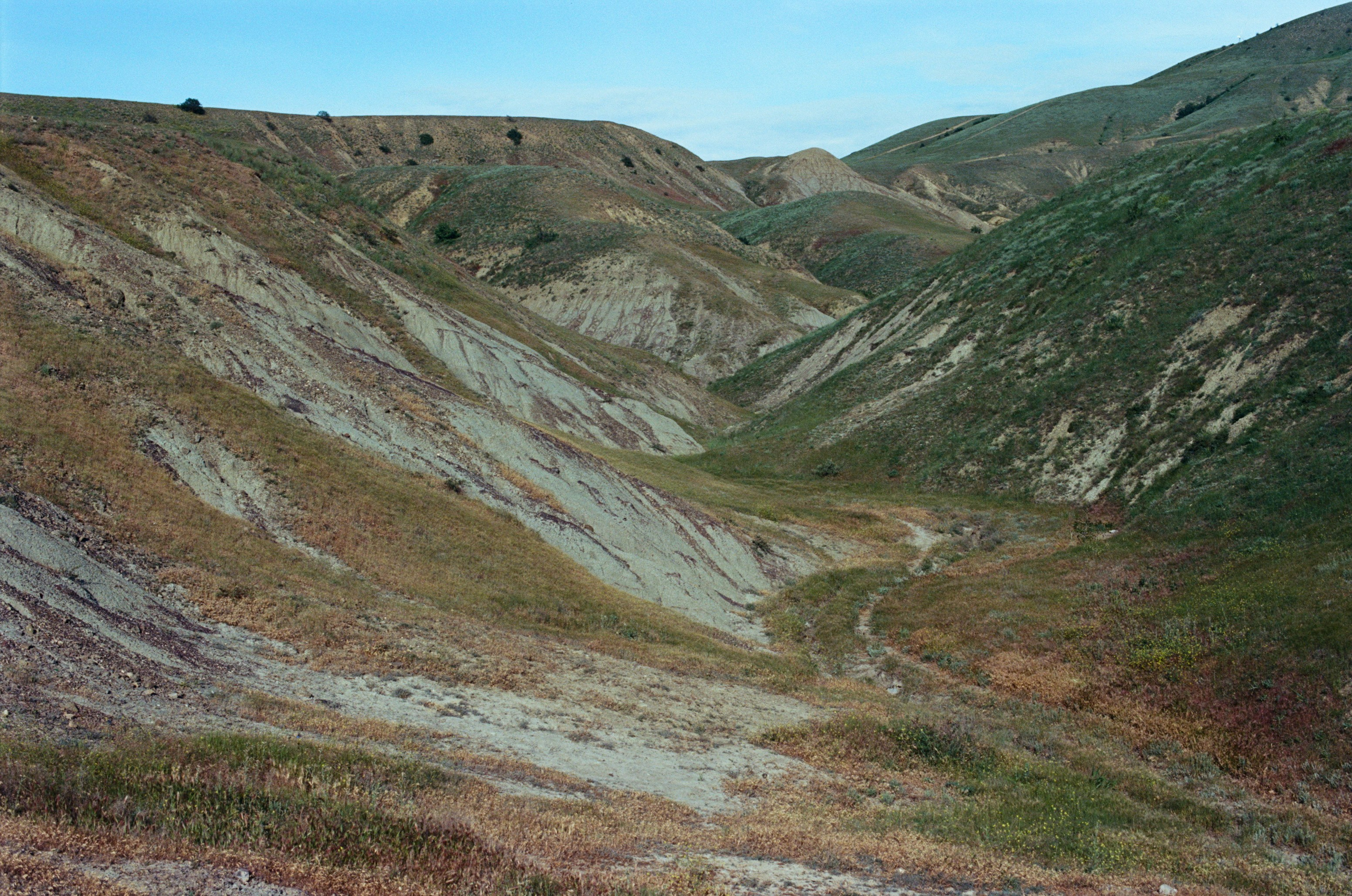Kool-aid // ukraine, crimea IV. EVER EXPOSED