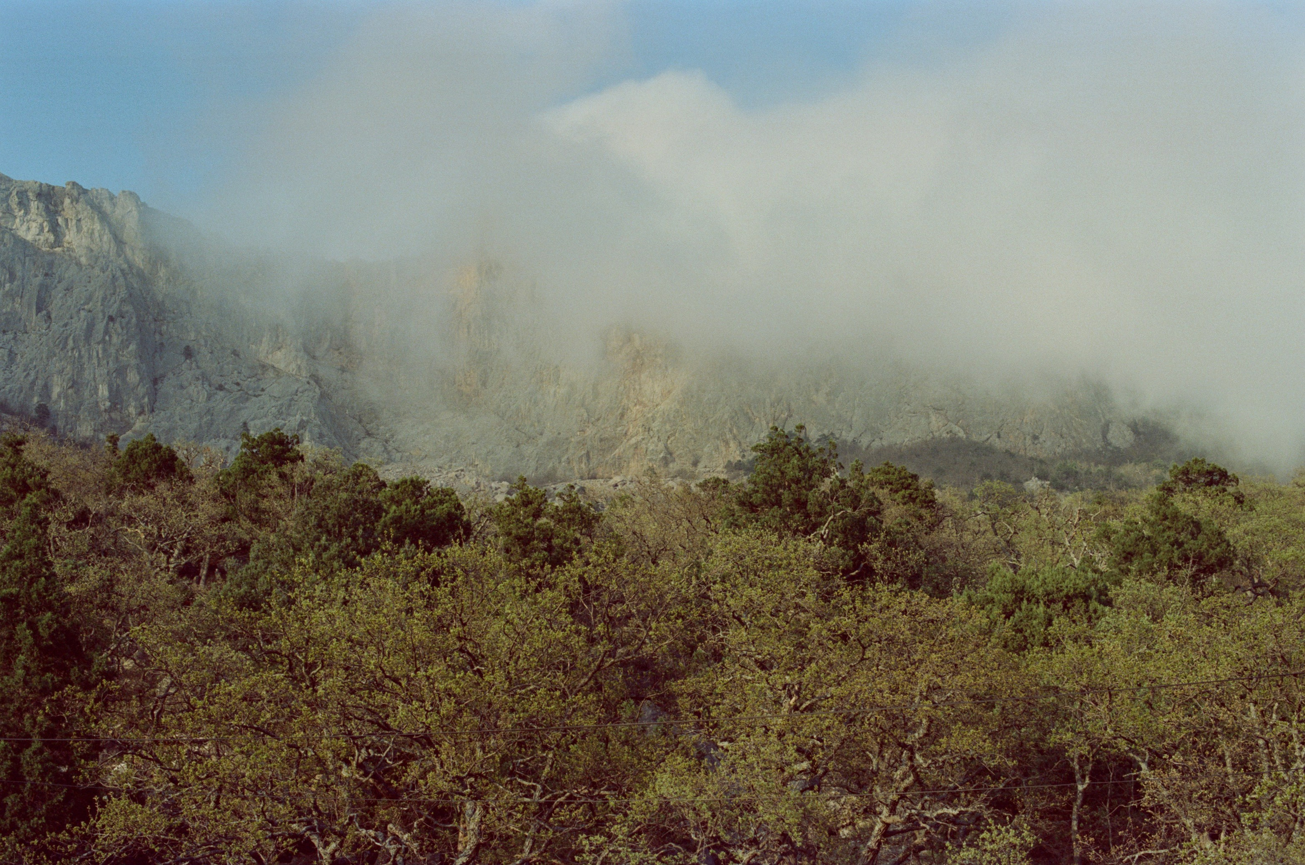 Follow you // ukraine, crimea. EVER EXPOSED