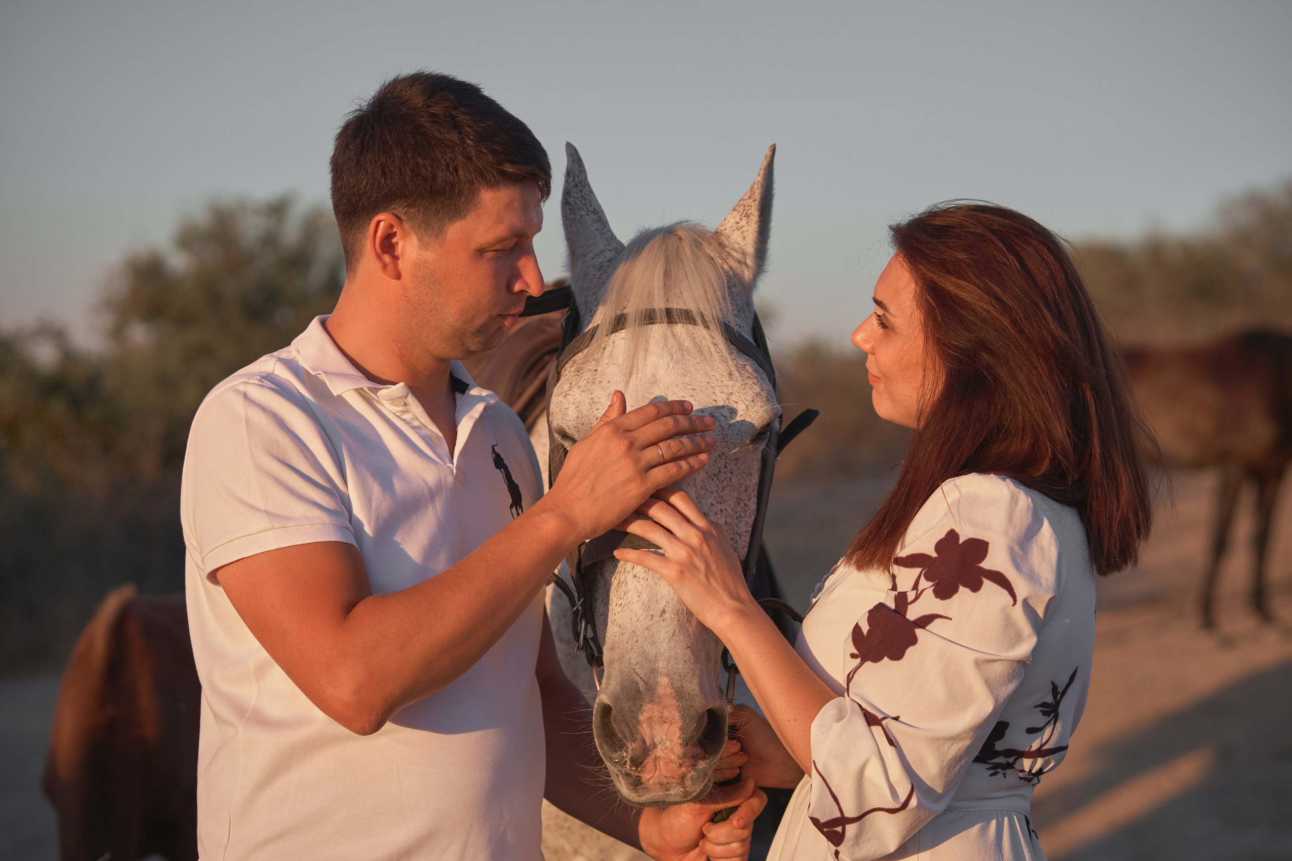 Пара гладит лошадь