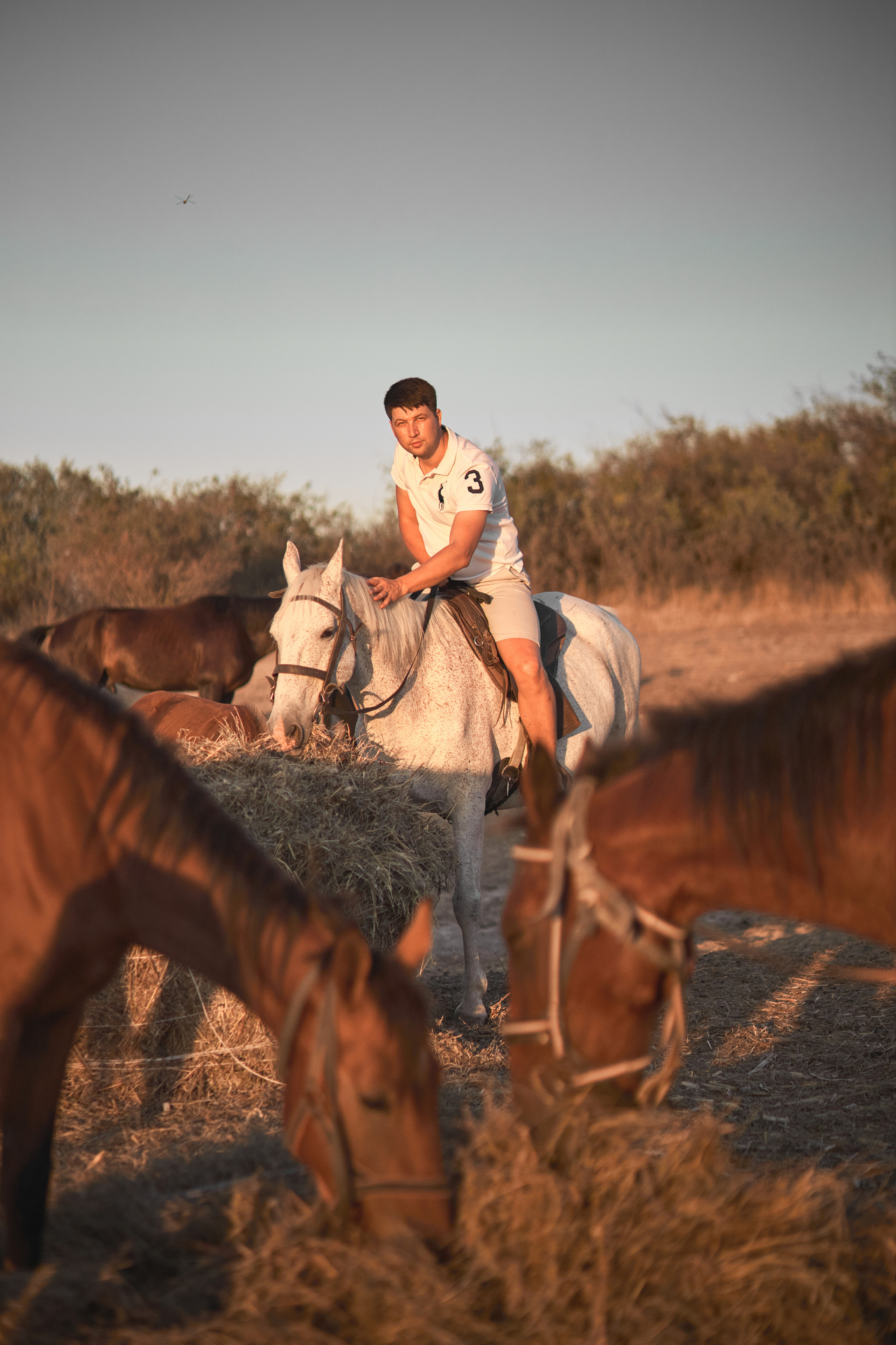 Парень сидит на лошади на ферме