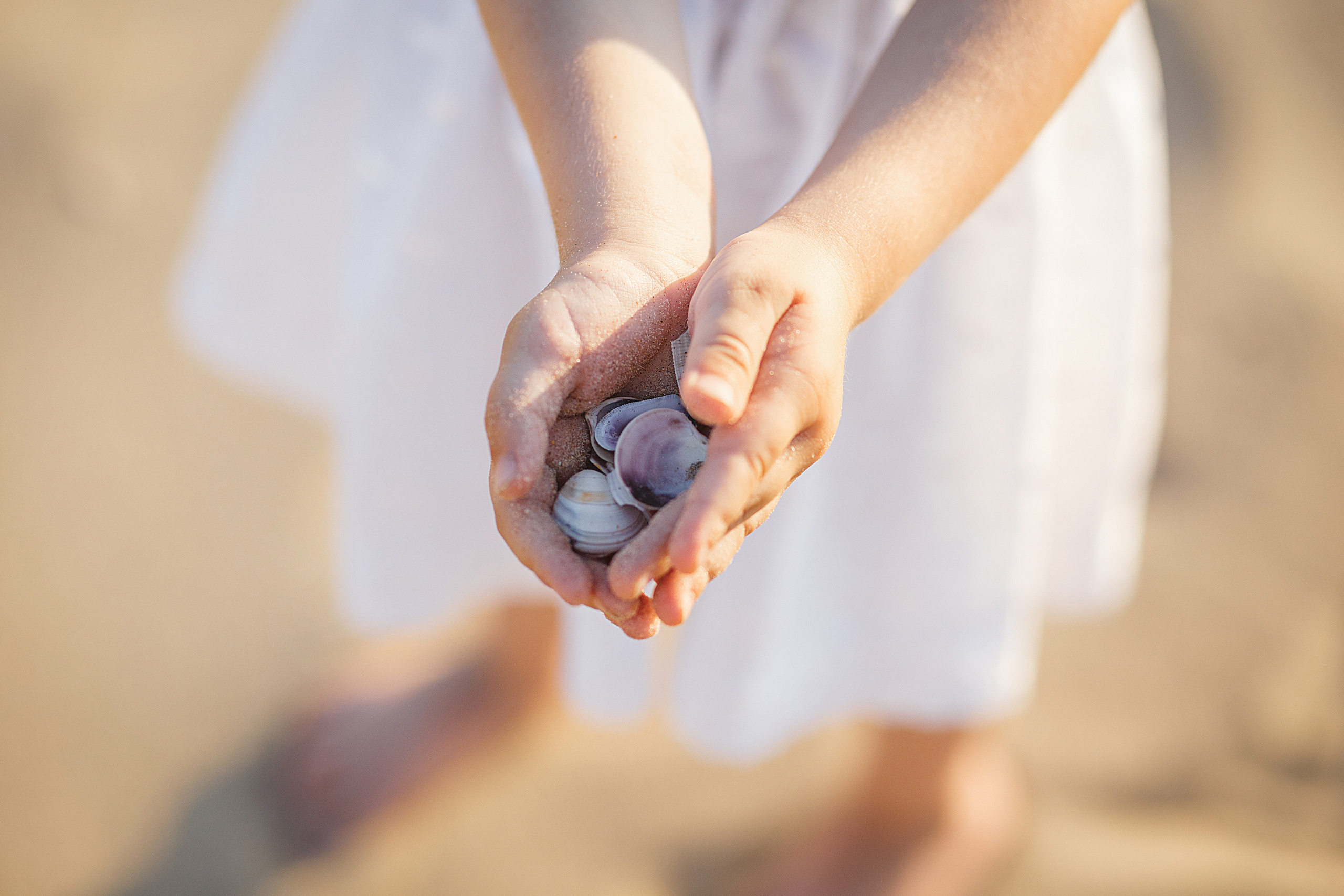 Ракушки в детских руках