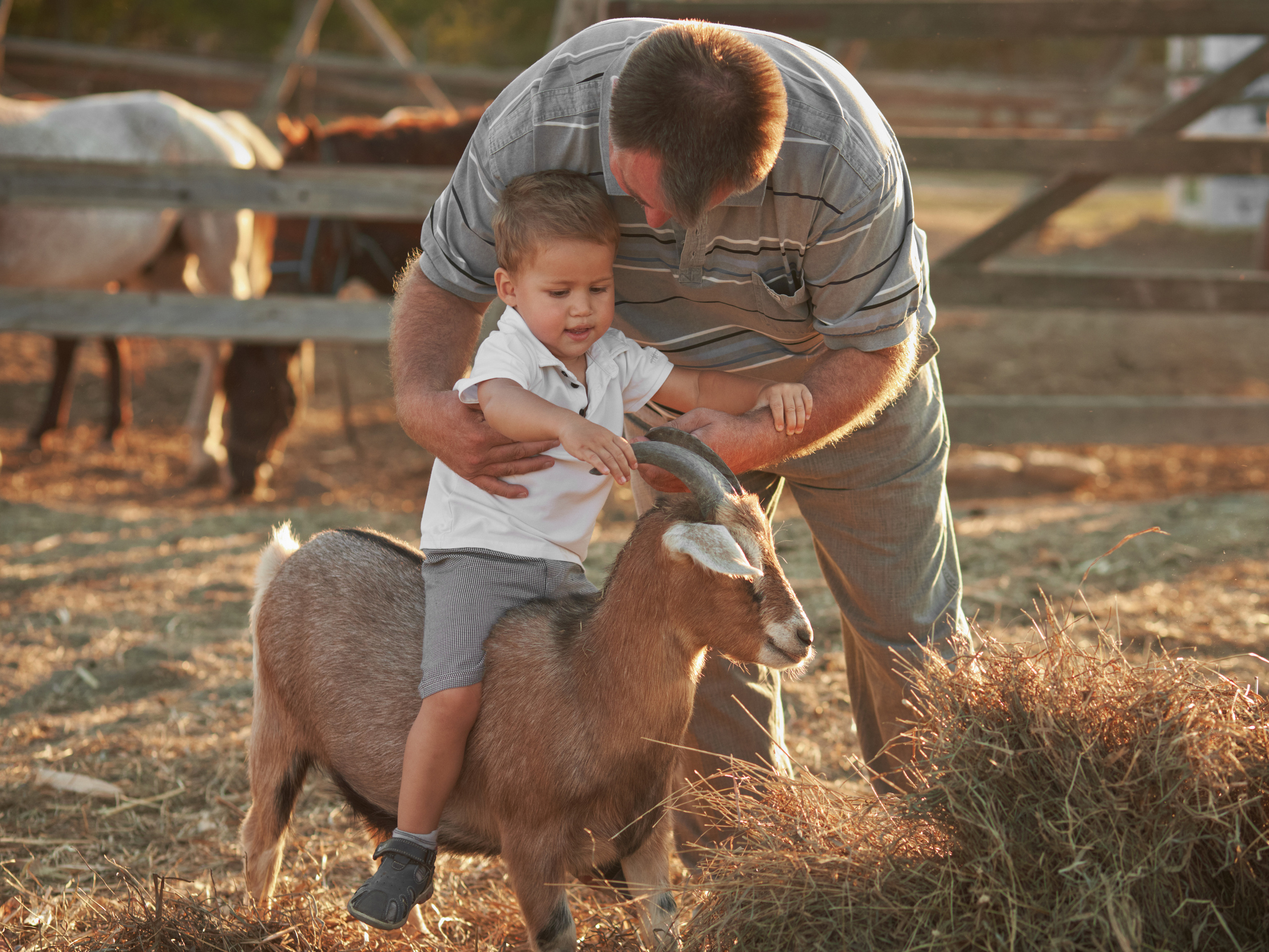 Семейная фотосессия на ферме в Анапе