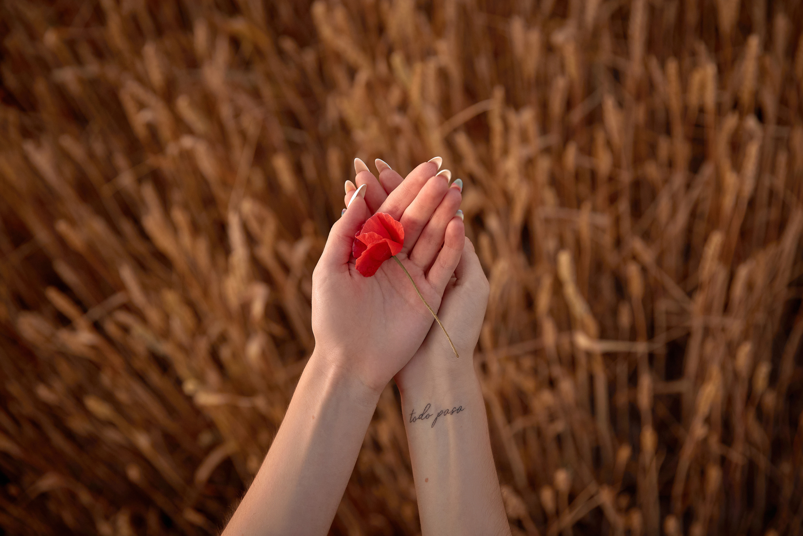 Фотография руки держат цветок