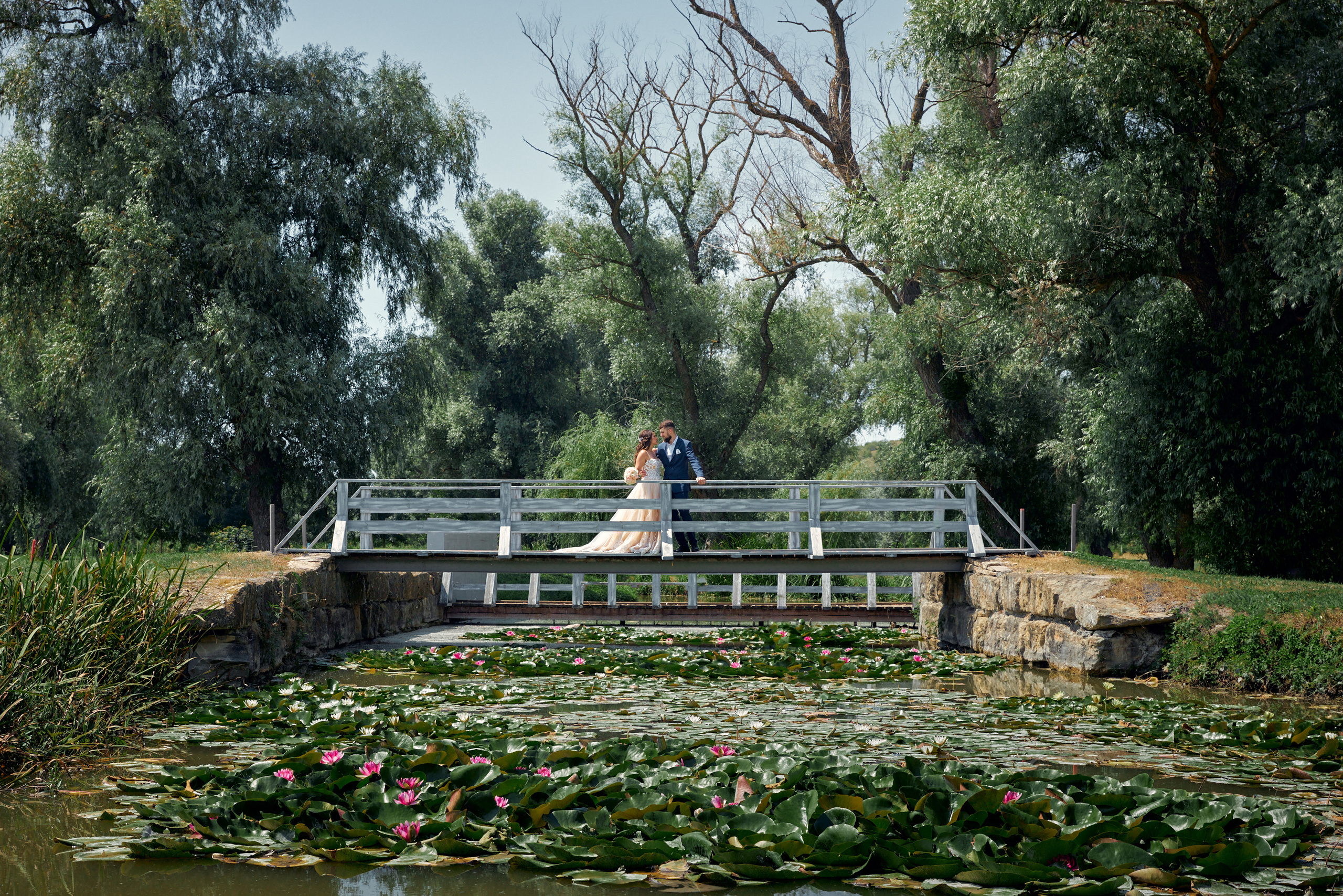 Жених и невеста стоят на мостике с цветущими лотосами