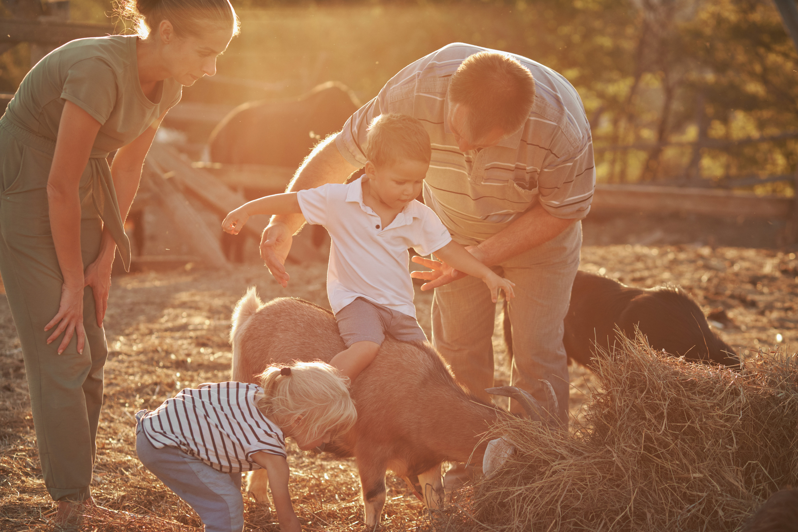 Семейная фотосессия на ферме в Анапе