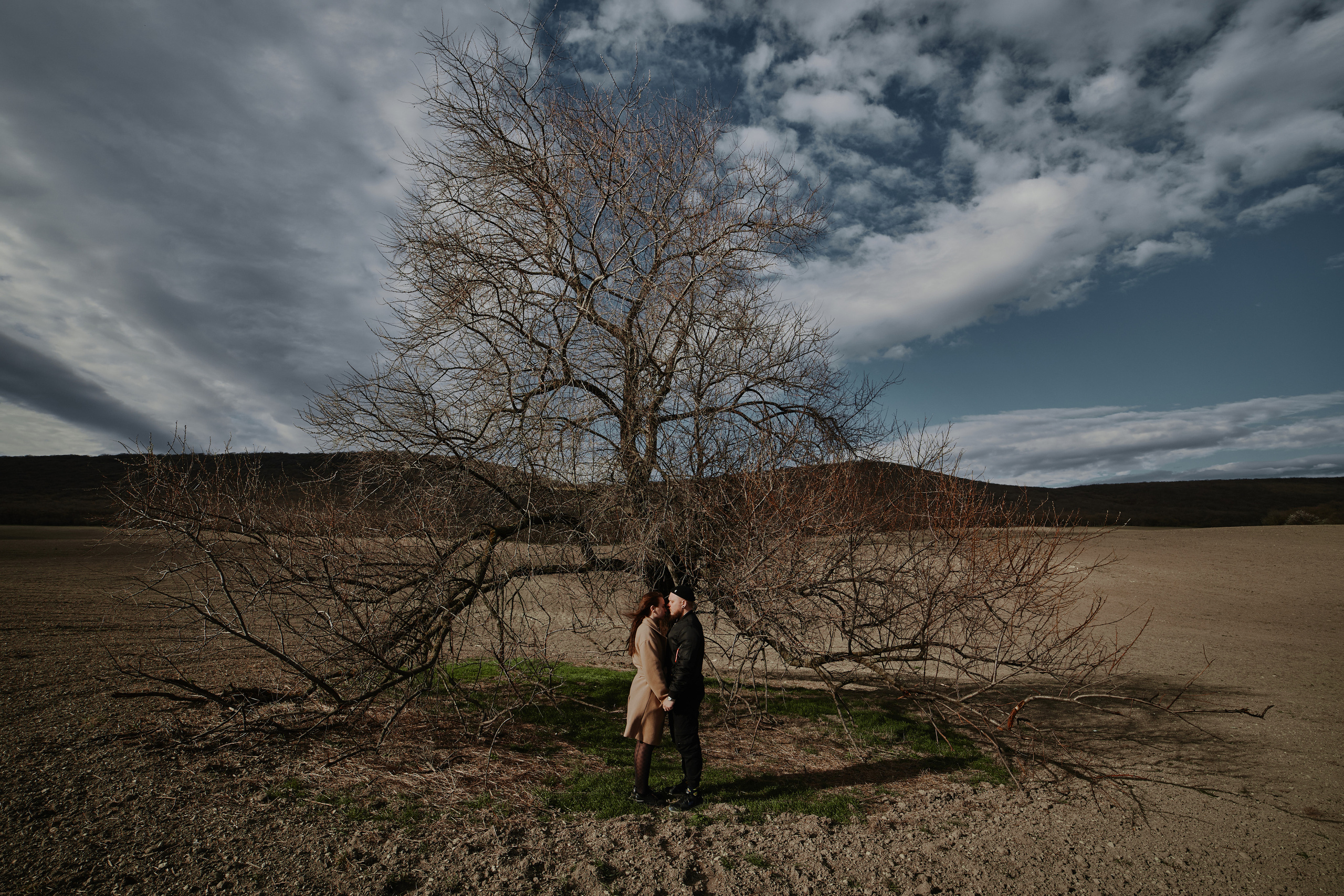 Лав стори девушка с парнем возле дерева в поле в Анапе