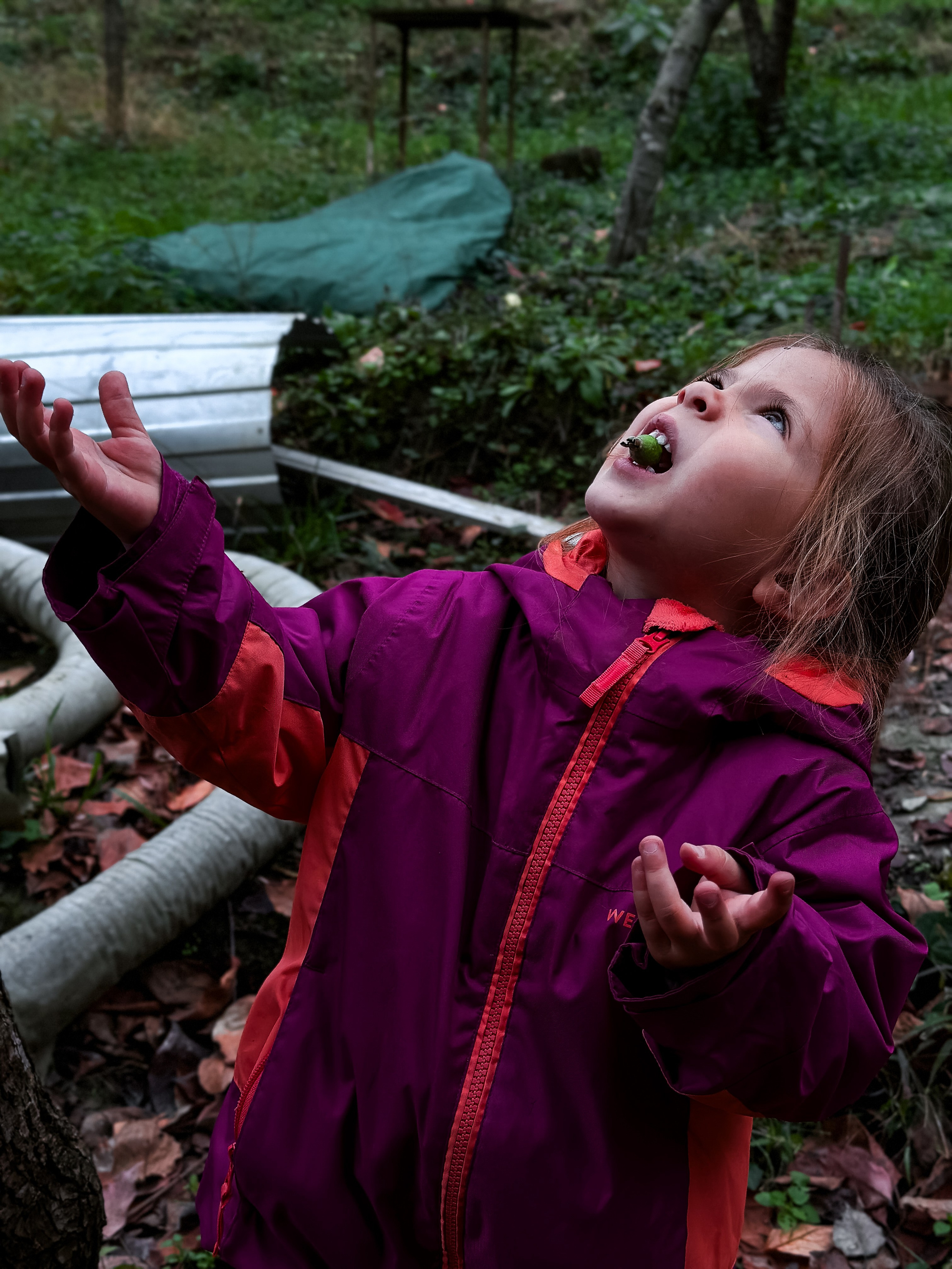 Дети. Смотри, красота!