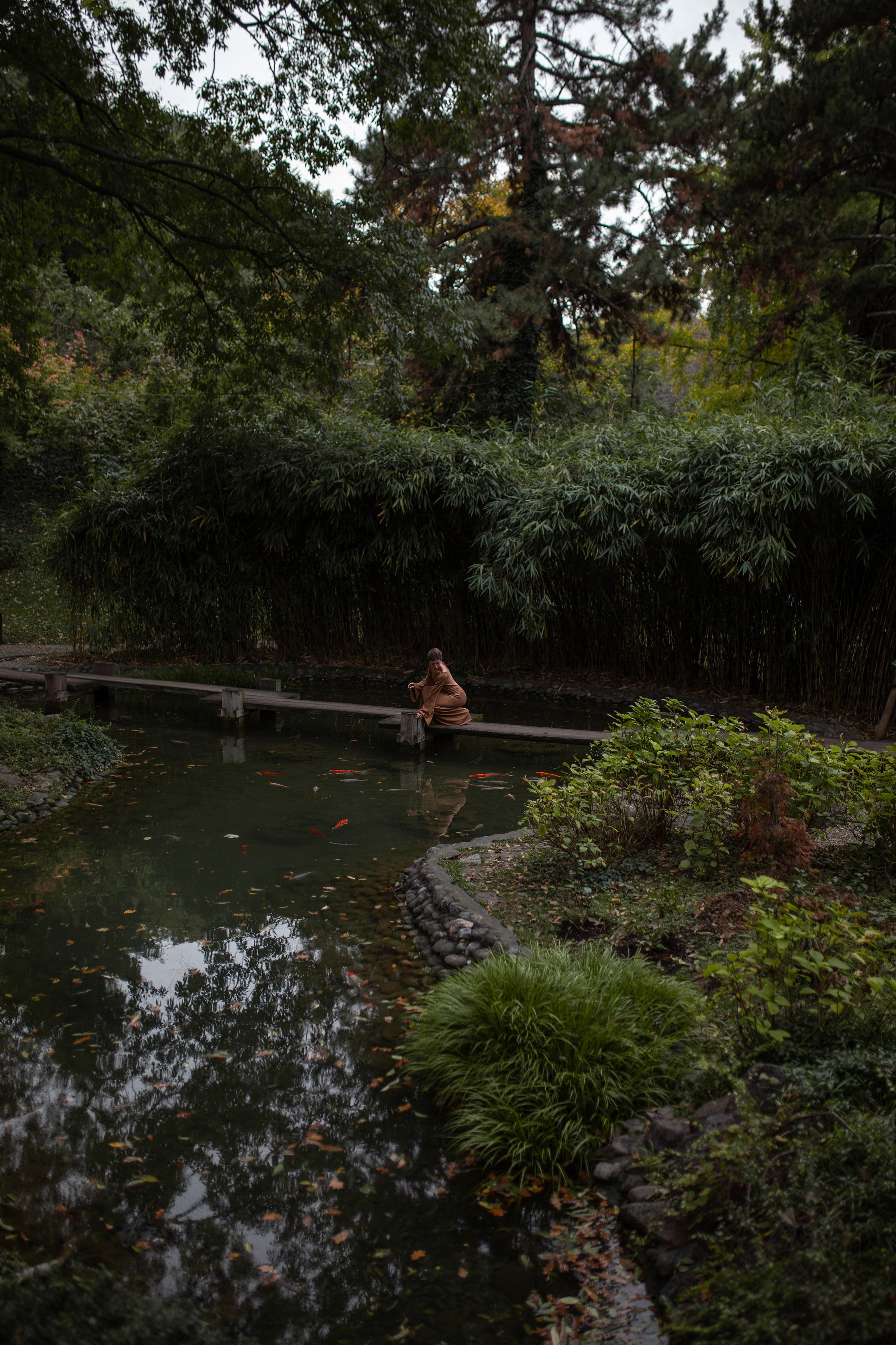 Japanese Garden & Glasshouse. Лиза Бродская — фотограф в Москве