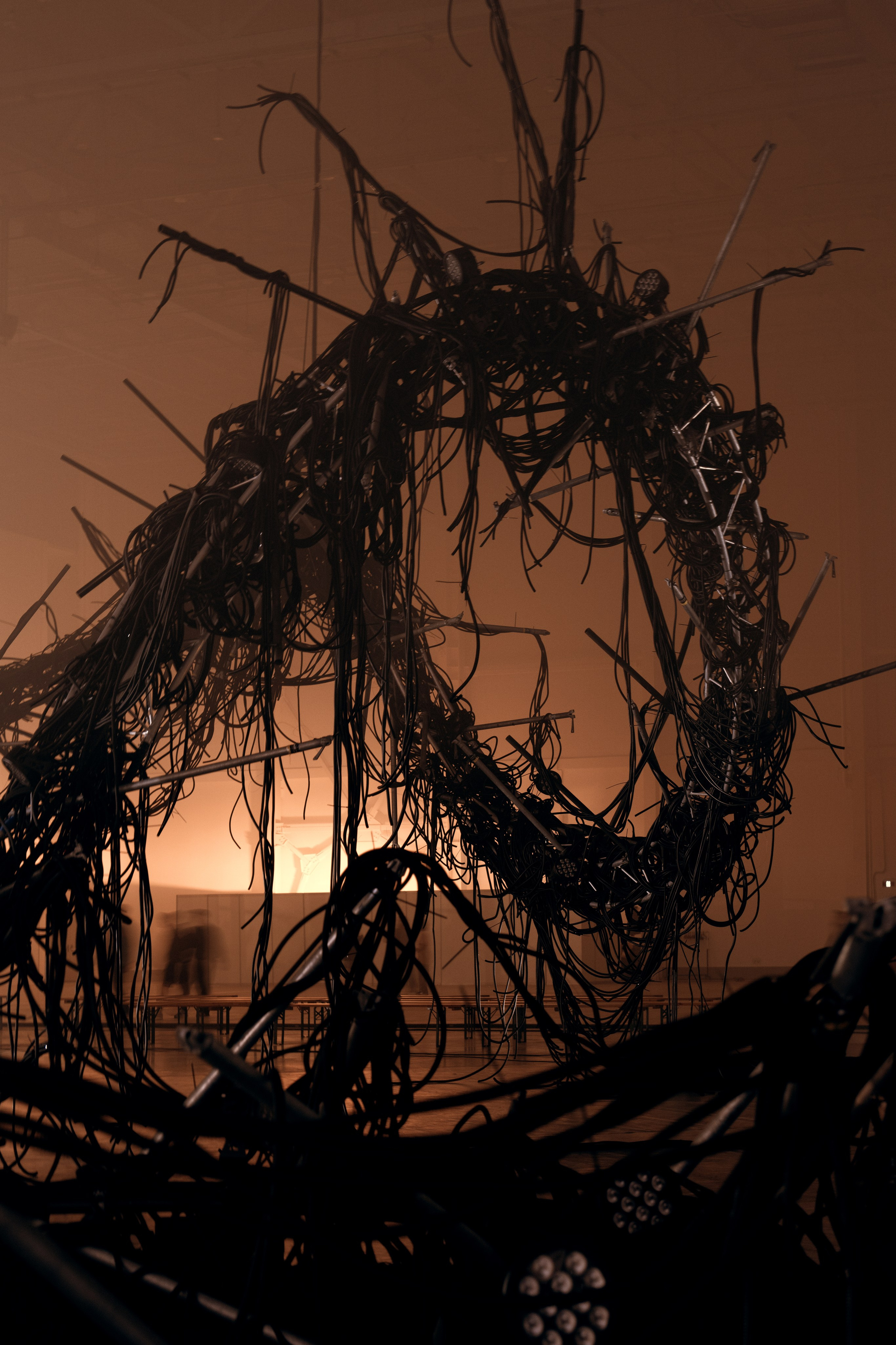 PANTERRA, CHRONOMORPH 001. @tomrus: Рустам Шагиморданов — фотограф